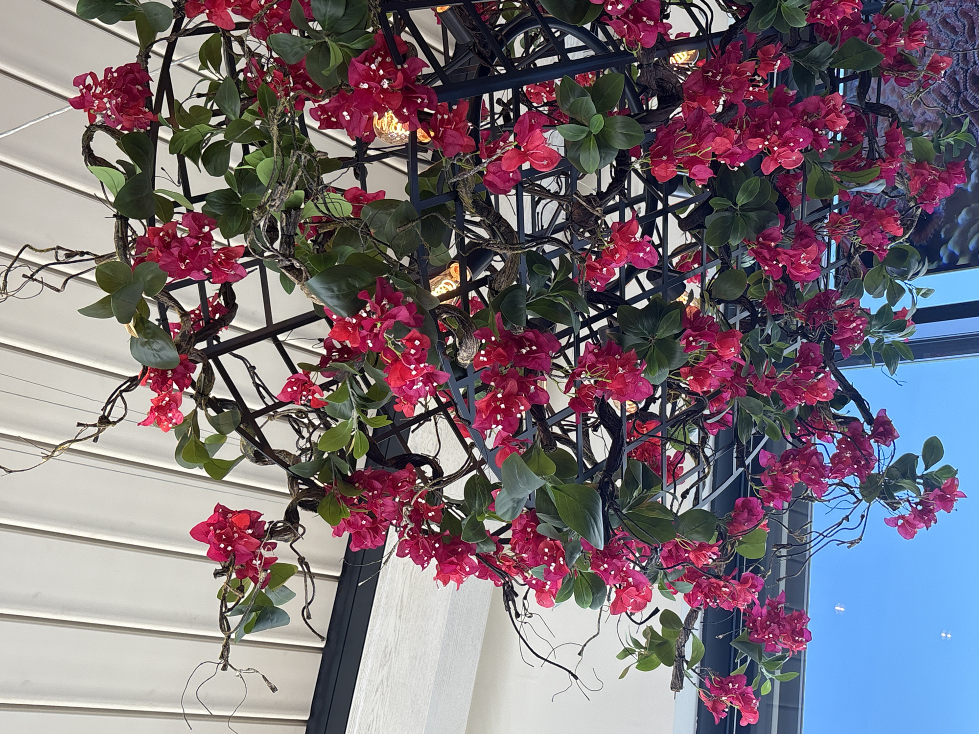 A view looking up at a metal grid structure adorned with red flowers and green leaves, possibly an artistic ceiling decoration in Sofia, Bulgaria. The structure is partially backlit, revealing light bulbs within. The lower part of the image shows sections of a white-paneled ceiling, while to the right, there's a glimpse of bright blue sky visible through a window or opening. The overall scene appears to be indoors, with an artificial or artistic floral arrangement as the focal point.