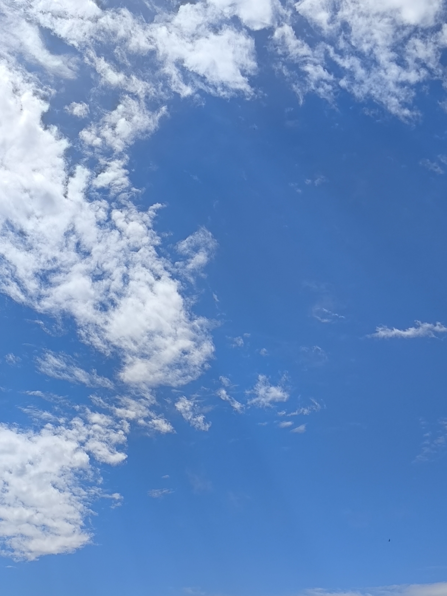 The image displays a vast expanse of a clear blue sky, punctuated by scattered white clouds. The clouds vary in size and density, with some appearing as wispy streaks and others as more voluminous, puffy formations. The overall impression is one of a bright, open sky, suggesting fair weather. There are no discernible elements that would allow for the identification of a specific location within the city of Oral, Kazakhstan, or any other city. The scene is purely natural, depicting the sky and clouds without any man-made structures or identifiable terrestrial features. There are no people, subjects, objects, or actions depicted.