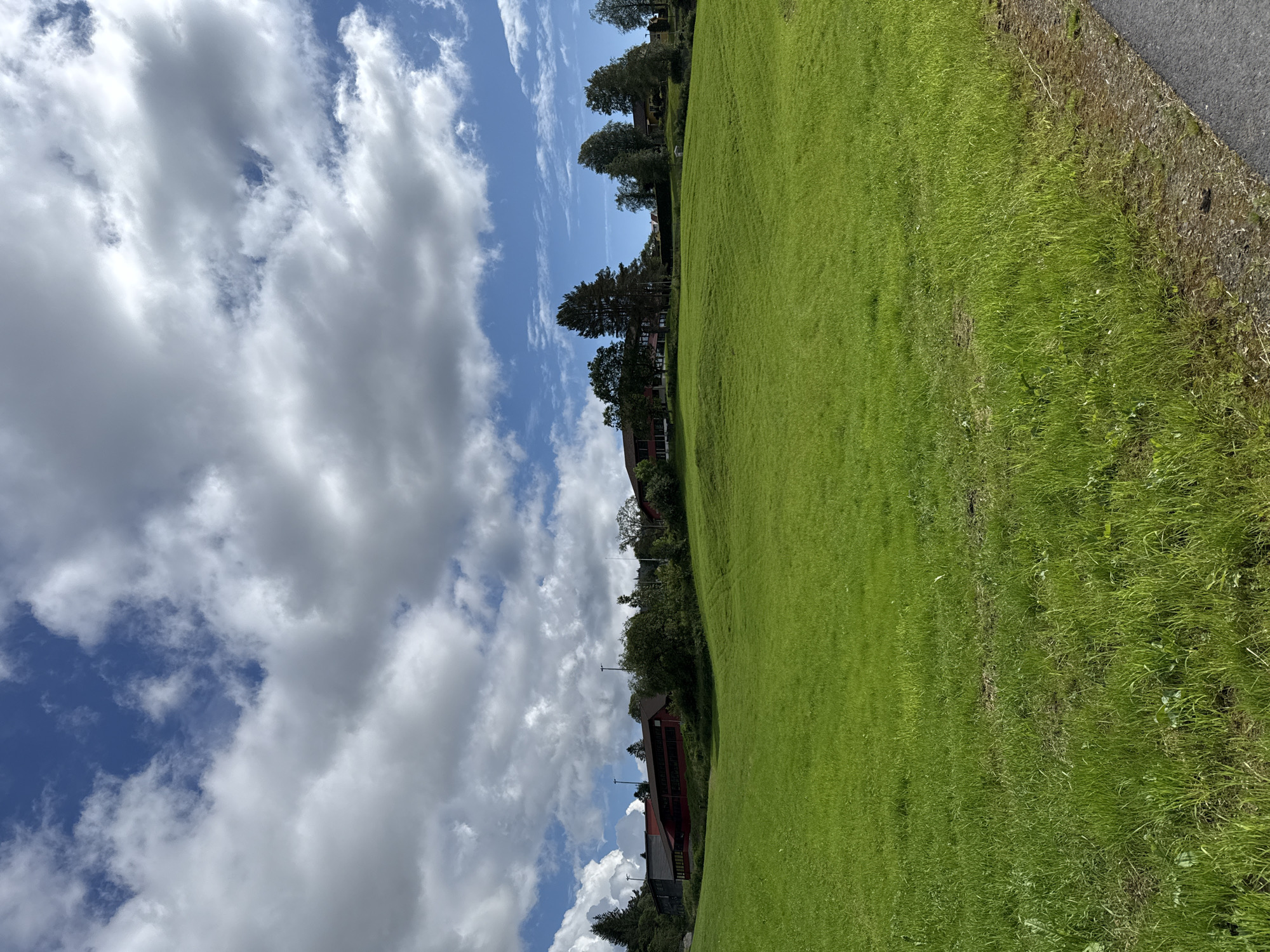 This media file shows a view of a grassy field and a cloudy blue sky. The image is oriented vertically, with the sky on the left and the field on the right. The field appears to be well-maintained, with bright green grass. Along the top edge of the field, there are trees and some buildings, some of which are red. The sky is filled with a mix of white and gray clouds, with patches of blue sky visible. The overall impression is of a pleasant, outdoor scene on a partly cloudy day. The lighting suggests it is daytime, likely midday, given the brightness of the grass and sky. There are no people visible in the image. The scene appears to be in a rural or semi-rural setting, possibly a park or a residential area with large open spaces. There is no visible text in the image.