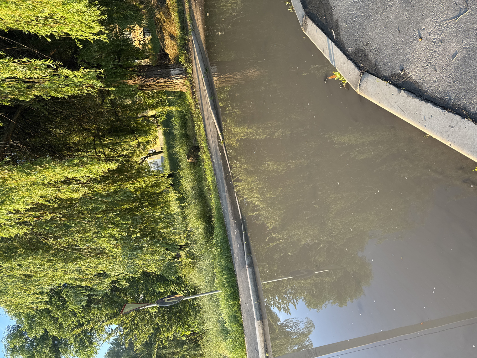The image shows a street in Strășeni, Moldova, with a large puddle of murky water reflecting trees and the sky. A sidewalk and a street are visible, with a traffic sign on the left side of the image. Lush green trees, including a large weeping willow, overhang the scene. The lighting suggests it is either early morning or late afternoon. There are no people visible in the image.