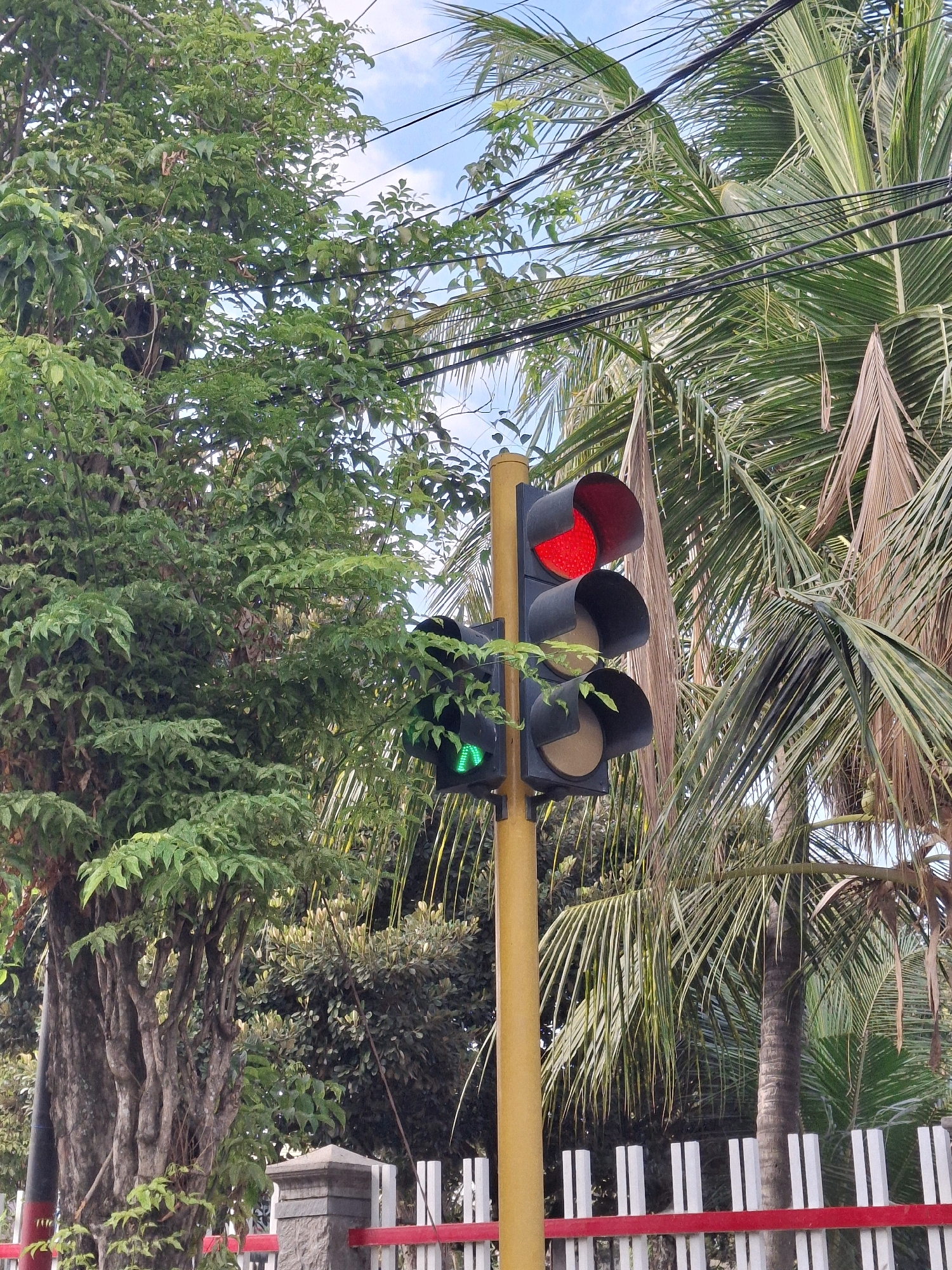 The image shows a traffic light at an intersection in Lumajang, Indonesia, with its red light illuminated. The traffic light is positioned on a yellow pole and is surrounded by lush greenery from trees and palm fronds. In the background, there are power lines and a blue sky with some clouds. A white fence with a red railing runs horizontally across the lower part of the image, separating the road from what appears to be a walkway or park. The scene suggests an outdoor environment, likely a public area within the city.