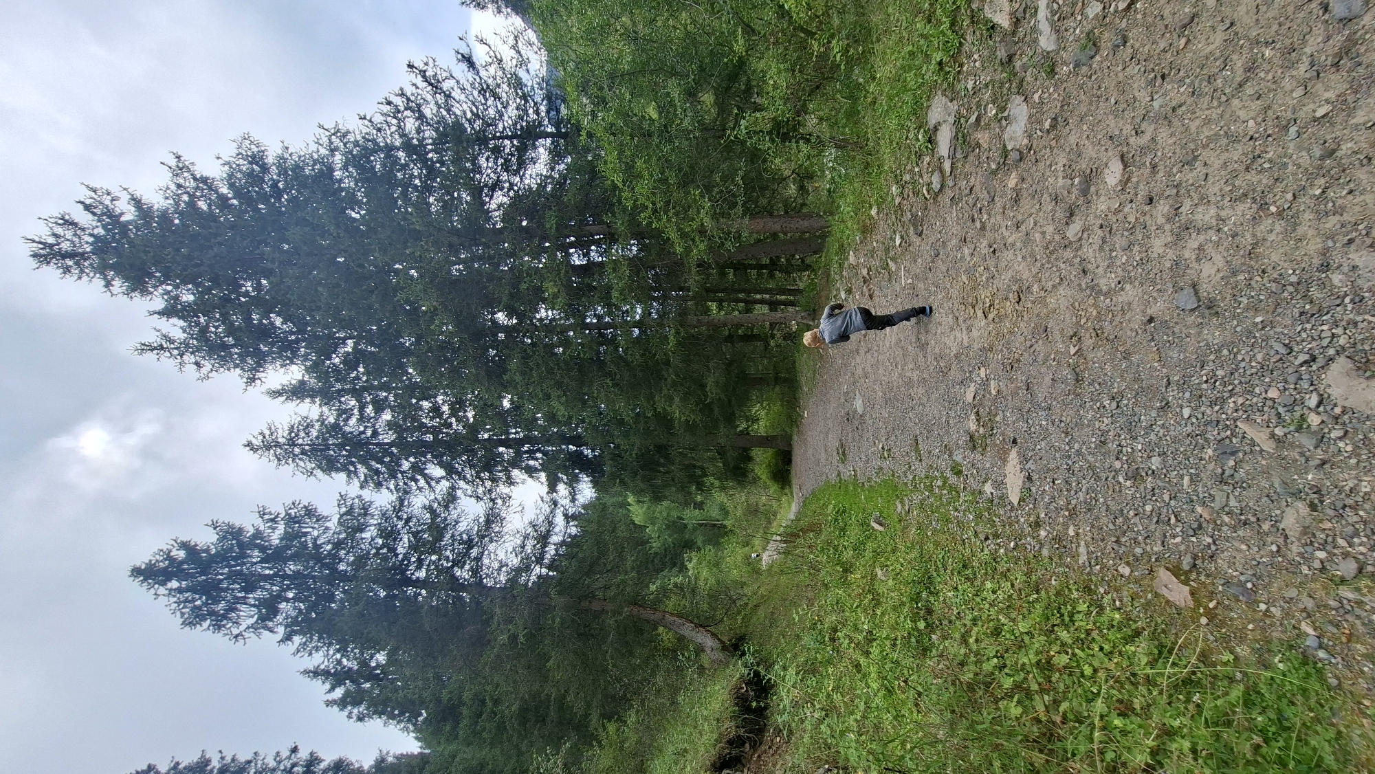 A young boy with blond hair is running away from the camera on a gravel path in a forest. He is wearing a gray long-sleeved shirt and dark pants. The path is surrounded by lush green trees and foliage. The sky is overcast with some patches of sunlight visible through the clouds. The scene appears to be in a natural, wooded area, possibly a park or hiking trail. The location is the city of Batan, Kazakhstan.