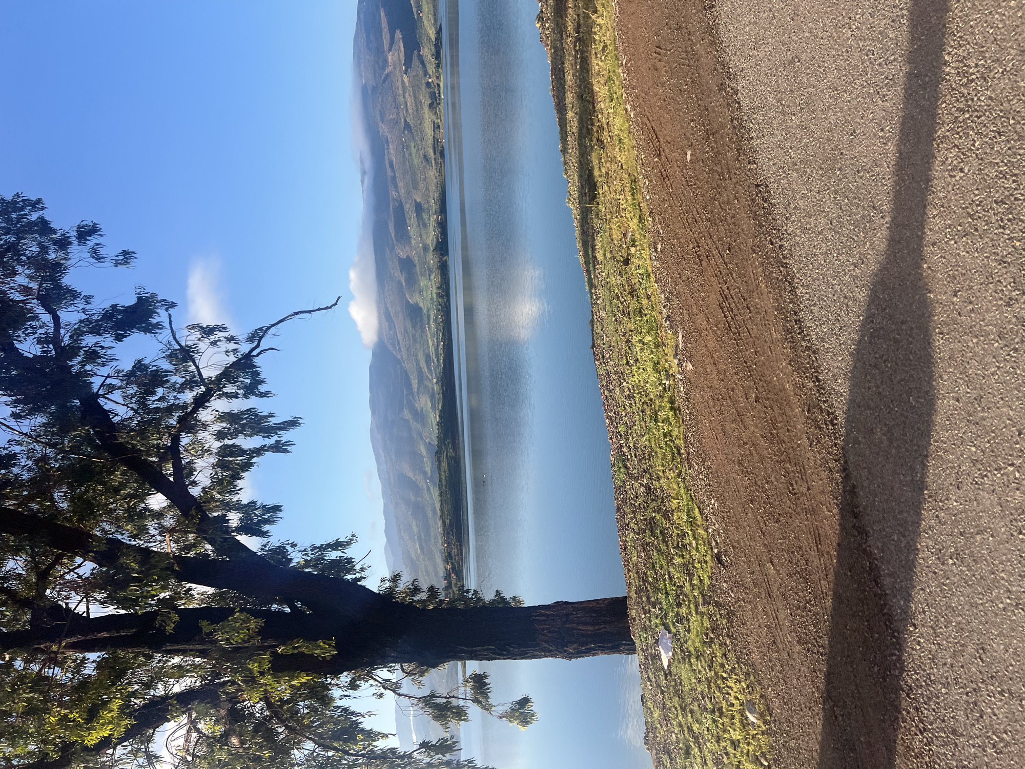 The image presents a serene landscape captured at the Bin el Ouidane reservoir in Bin El Ouidane, Morocco. In the foreground, a dark gray asphalt road occupies the bottom portion, featuring a prominent, elongated shadow extending across its surface. Above the asphalt, a reddish-brown dirt track with visible tire imprints runs parallel to the water. To the left, a grassy embankment dotted with sparse vegetation and small stones slopes down to the reservoir. A large, dark-trunked tree with extensive foliage of small, green, pendulous leaves stands firmly on this embankment, partially obscuring the water on the left side. A single crumpled white object is visible on the grass near the base of the tree. The vast, calm blue reservoir dominates the midground, reflecting the bright blue sky and scattered white clouds. Two small, dark, indistinct objects are observed on the water's surface in the distance. The background consists of rolling mountains and hills, partially covered in green vegetation, with several small structures identifiable on their slopes. Patches of low-lying white clouds partially obscure the mountain peaks. The scene is brightly lit, with long shadows suggesting either early morning or late afternoon. No individuals are present in the frame.