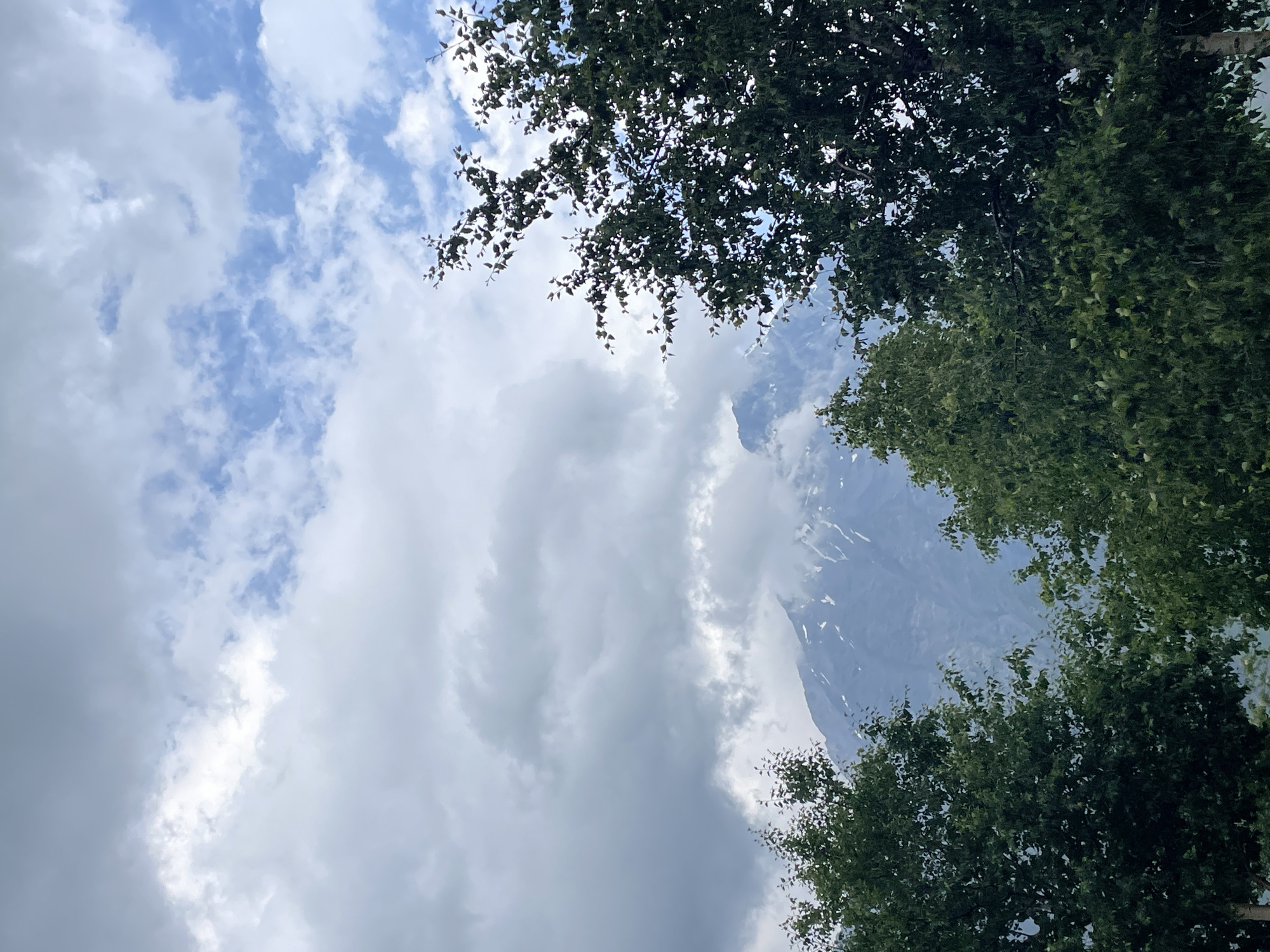 In Stepantsminda, Georgia, a mountain peak emerges from behind a dense canopy of lush green trees. The mountain, partially obscured by soft, white clouds, displays patches of snow on its rugged slopes. The sky above is a canvas of blue, dotted with both fluffy white and darker, more dramatic grey clouds, suggesting a dynamic weather pattern. The foreground is dominated by the dark green foliage of trees, their leaves appearing textured and varied. The overall impression is one of natural grandeur, with the imposing mountain landscape contrasted against the vibrant greenery and the atmospheric sky.