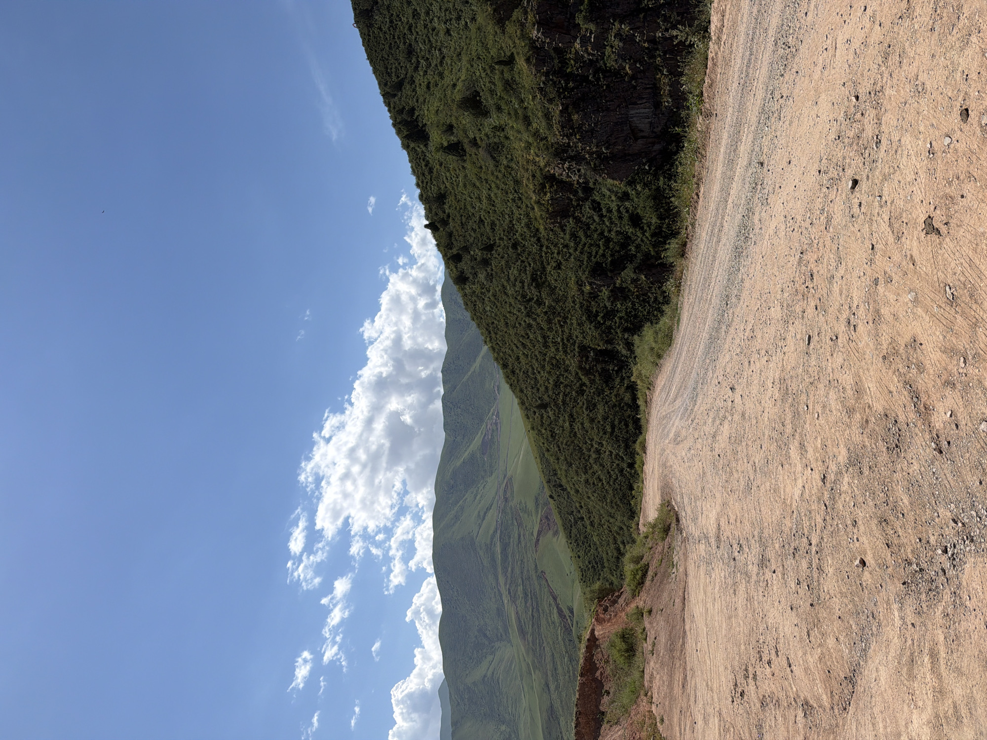 A dirt road curves through a landscape of rolling, green hills under a bright blue sky dotted with white clouds. The road is dusty and shows tire tracks. On the right side, a steep, densely vegetated slope rises, with rocky outcrops visible at its base. In the distance, more undulating hills stretch towards the horizon. The sky is clear and vast, with a few scattered cumulus clouds. There is a tiny dark speck, possibly a bird, in the upper portion of the sky. The scene is natural and undeveloped, suggesting a rural or mountainous location.