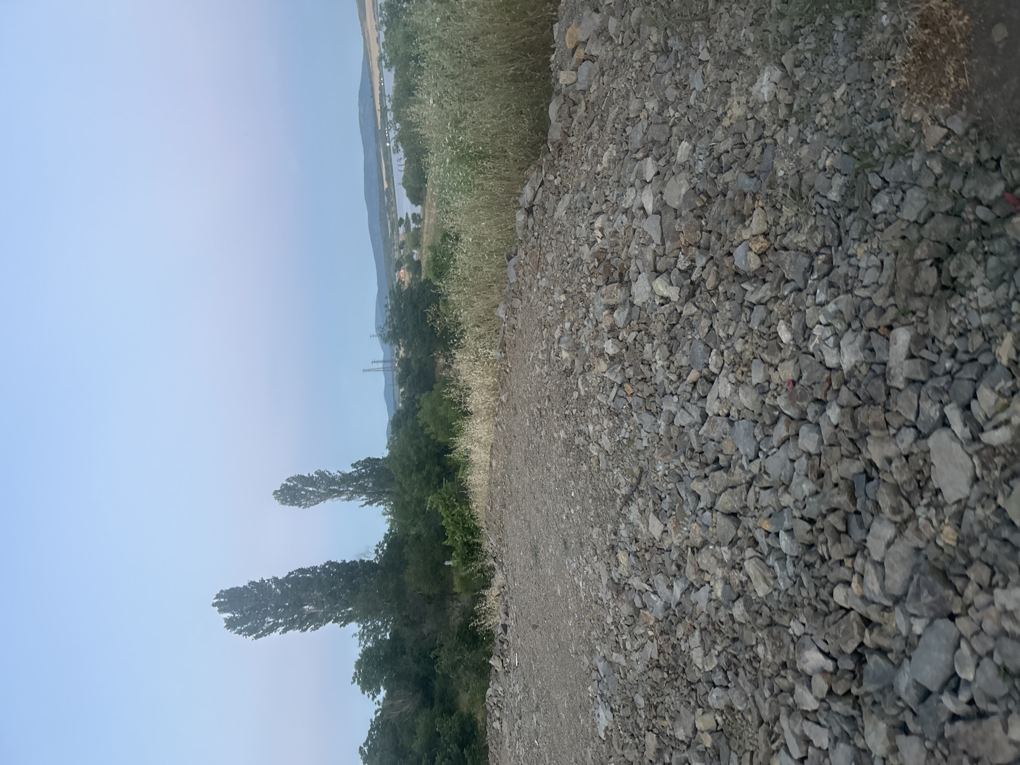 The image depicts an outdoor scene with a gravelly foreground and a landscape in the background. In the foreground, there is a substantial pile of grey rocks and stones. Beyond this, a line of trees and vegetation stretches across the middle ground. Two tall, slender trees stand out prominently amongst the foliage. In the background, a body of water, likely a lake or reservoir, is visible, with hills and a hazy sky completing the vista. The presence of distant power lines suggests a proximity to infrastructure. The lighting indicates it is either early morning or late evening. The specific location in Burgas, Bulgaria, is not discernible from the visual information provided in the image itself. There are no people or identifiable actions in the scene.