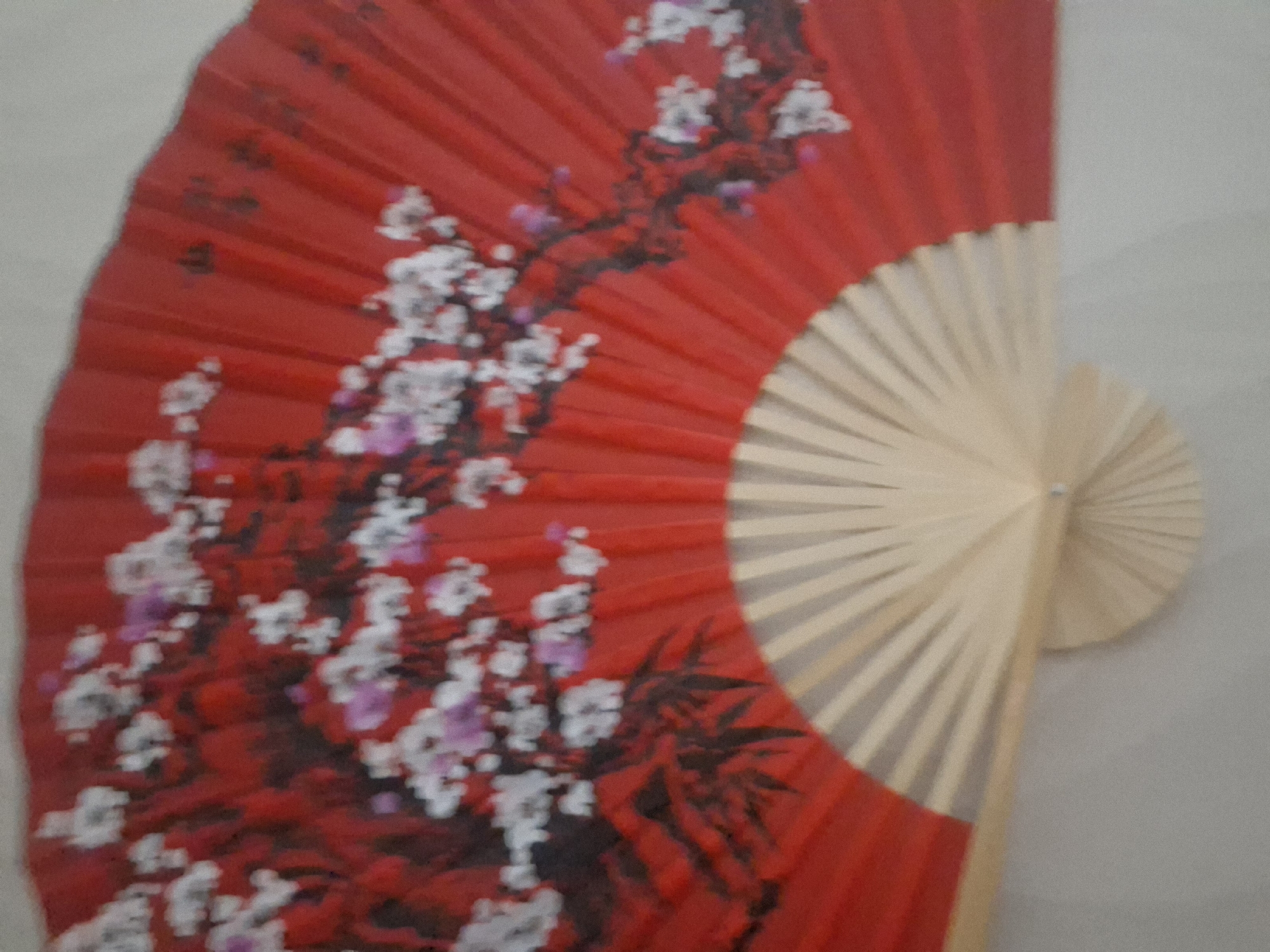 The image displays a decorative, open folding fan, commonly associated with East Asian cultures. The fan's main body is made of red fabric, adorned with an intricate pattern depicting blooming flowers and branches. The flowers are predominantly white, with some individual blossoms showing hints of light pink or purple, suggesting cherry or plum blossoms. Dark, gnarled branches are woven through the floral design, and at the lower right of the red section, there are darker, pointed leaf-like elements, possibly bamboo.
The fan's framework consists of numerous light-colored wooden or bamboo ribs, visible on the right side of the image where the red fabric does not fully extend. The ribs are fanned out, converging at a pivot point that is partially obscured. The background is a plain, light grey or off-white surface, likely a wall, which provides a neutral backdrop for the vibrant fan.
There is no discernible activity or event taking place; the image is a static shot of the object. No specific time of day or weather conditions can be inferred from the lighting or setting, which appears to be indoors under diffused light. No text is visible on the fan or in the background. The location context provided for this media file is Chaikovsky, Russia.