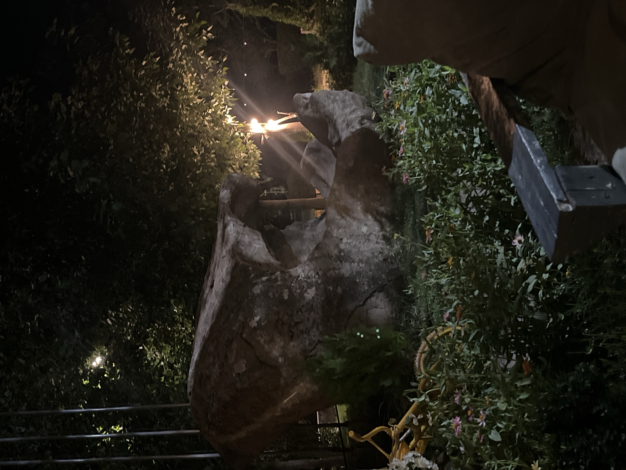 This image depicts an outdoor scene at night, likely in the city of Gladzor, Armenia, featuring a large, weathered rock formation. The rock is roughly sculpted, resembling a creature or object with indentations and protrusions. Several lights are visible, casting a warm glow on the surrounding foliage and illuminating parts of the rock. In the foreground, a dense patch of flowering plants with pink and orange blossoms is present, along with some green shrubbery. A dark, wooden bench is partially visible in the lower right portion of the frame, suggesting a seating area. The background consists of dark trees and foliage, with additional string lights visible in the upper right, indicating a possibly decorative or landscaped environment. The overall impression is one of a dimly lit, natural setting with artistic rock features.
