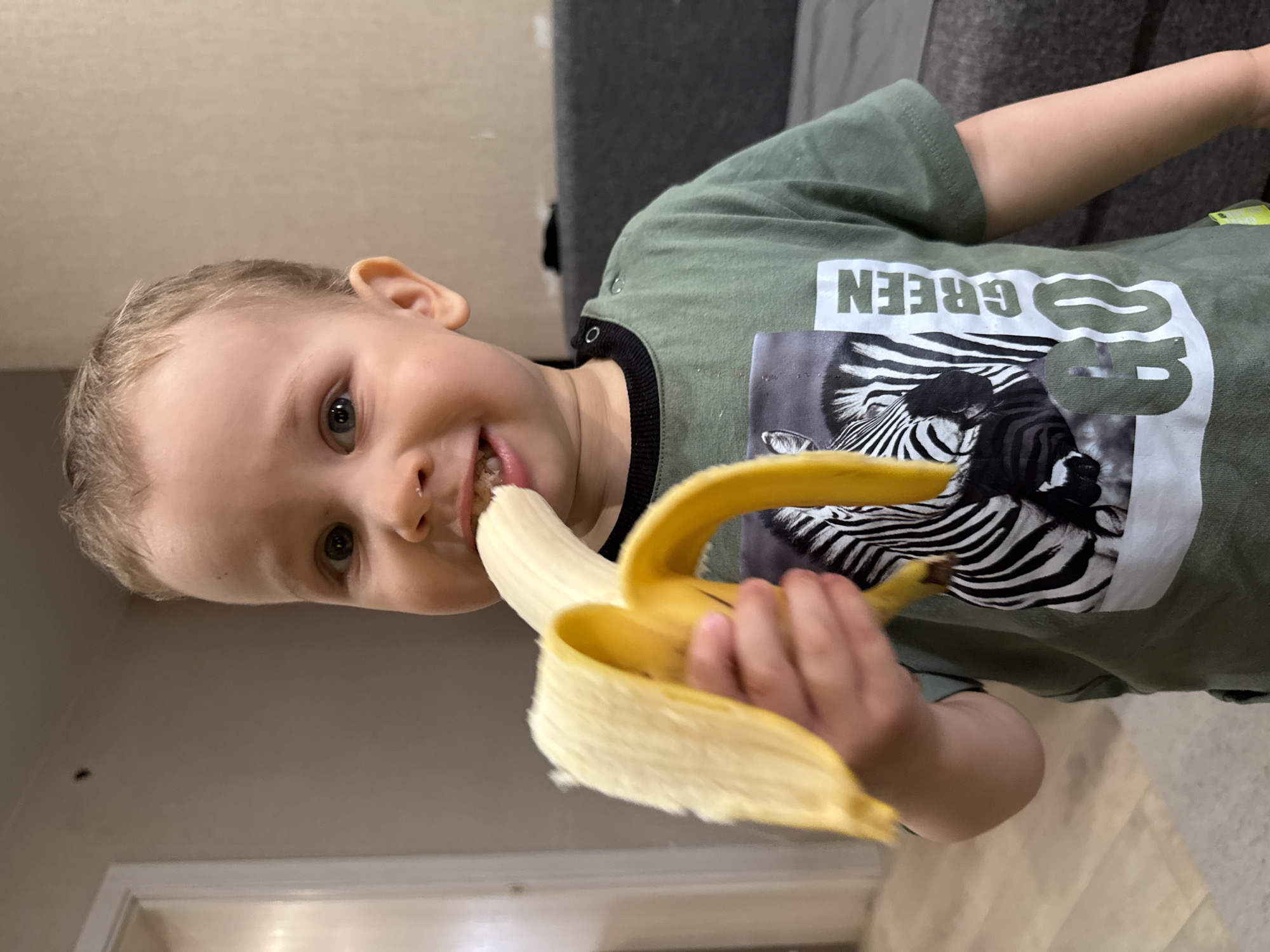 A young child with light-colored hair and blue-grey eyes is captured in a close-up, indoor shot, likely in a home in Rusanovo, Russia. The child is actively eating a partially peeled yellow banana, holding it in their left hand while taking a bite. A joyful expression is visible, with a wide grin and sparkling eyes directed towards the camera.
The child is wearing a short-sleeved, olive green t-shirt with black trim around the collar and snap fasteners on the left shoulder. The t-shirt features a large graphic on the front: a black and white image of a zebra's head and neck, overlaid with bold white text. Due to the image's orientation, the text appears upside down, reading "GREEN" clearly, and a partial "GO" is visible next to it, suggesting "GO GREEN."
The background reveals a simple indoor setting with light-colored walls and what appears to be a grey couch or upholstered furniture behind the child. The lighting suggests daytime, though no direct light source or windows are visible. The atmosphere is casual and happy, focusing on the child's enjoyment of the fruit.