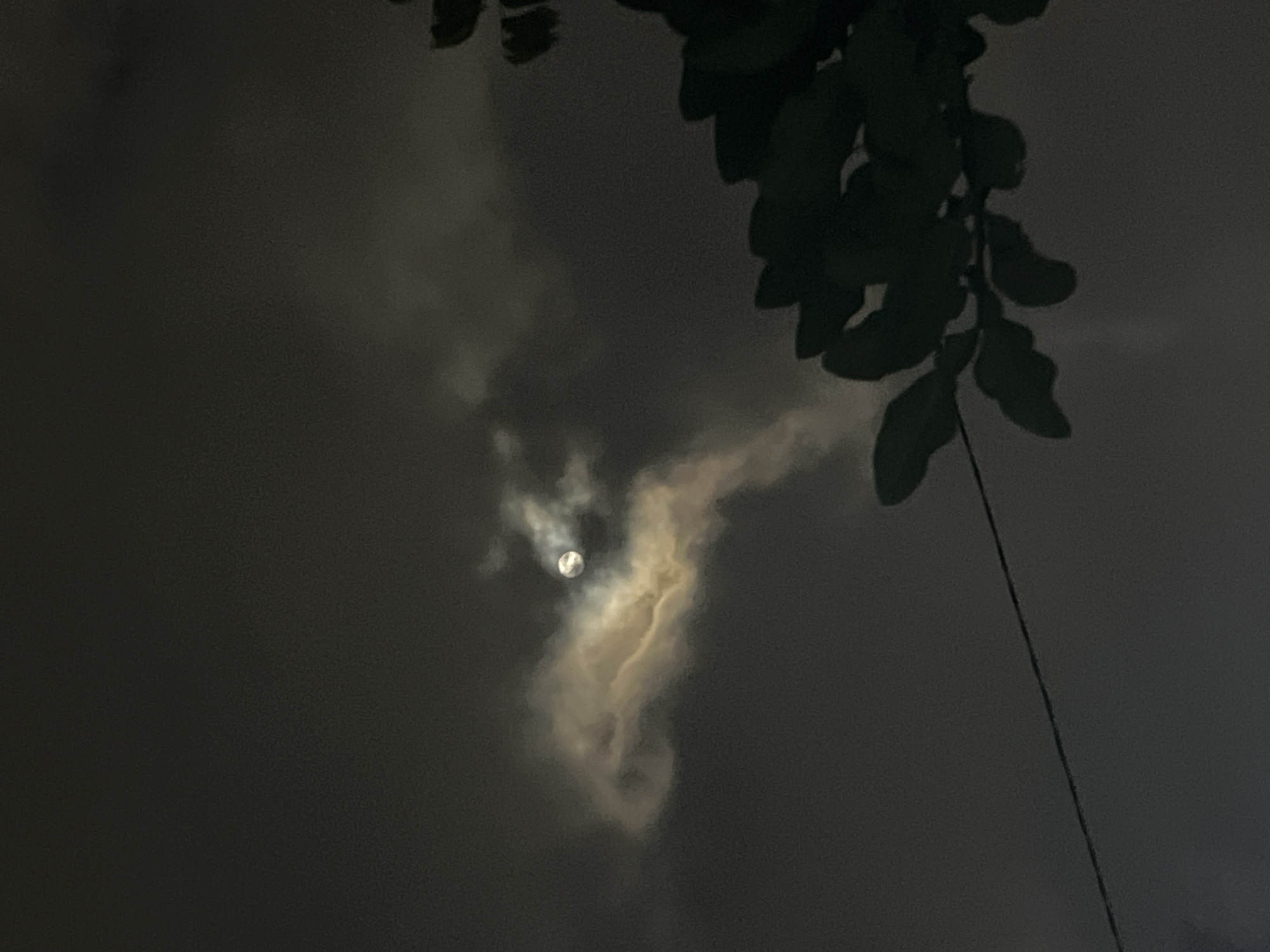 This is a low-light, slightly blurry photograph taken at night in Denpasar, Indonesia. The sky is dark and overcast with a full moon partially obscured by clouds. The moon itself is visible as a bright, circular orb, haloed by a luminous glow from the surrounding clouds. Some of the clouds appear wispy and illuminated, creating an ethereal effect. In the foreground, the dark silhouettes of tree branches with leaves are visible on the right side of the frame, obscuring part of the sky. A thin, dark wire stretches horizontally across the lower portion of the image. The overall impression is one of a moody, atmospheric night sky.