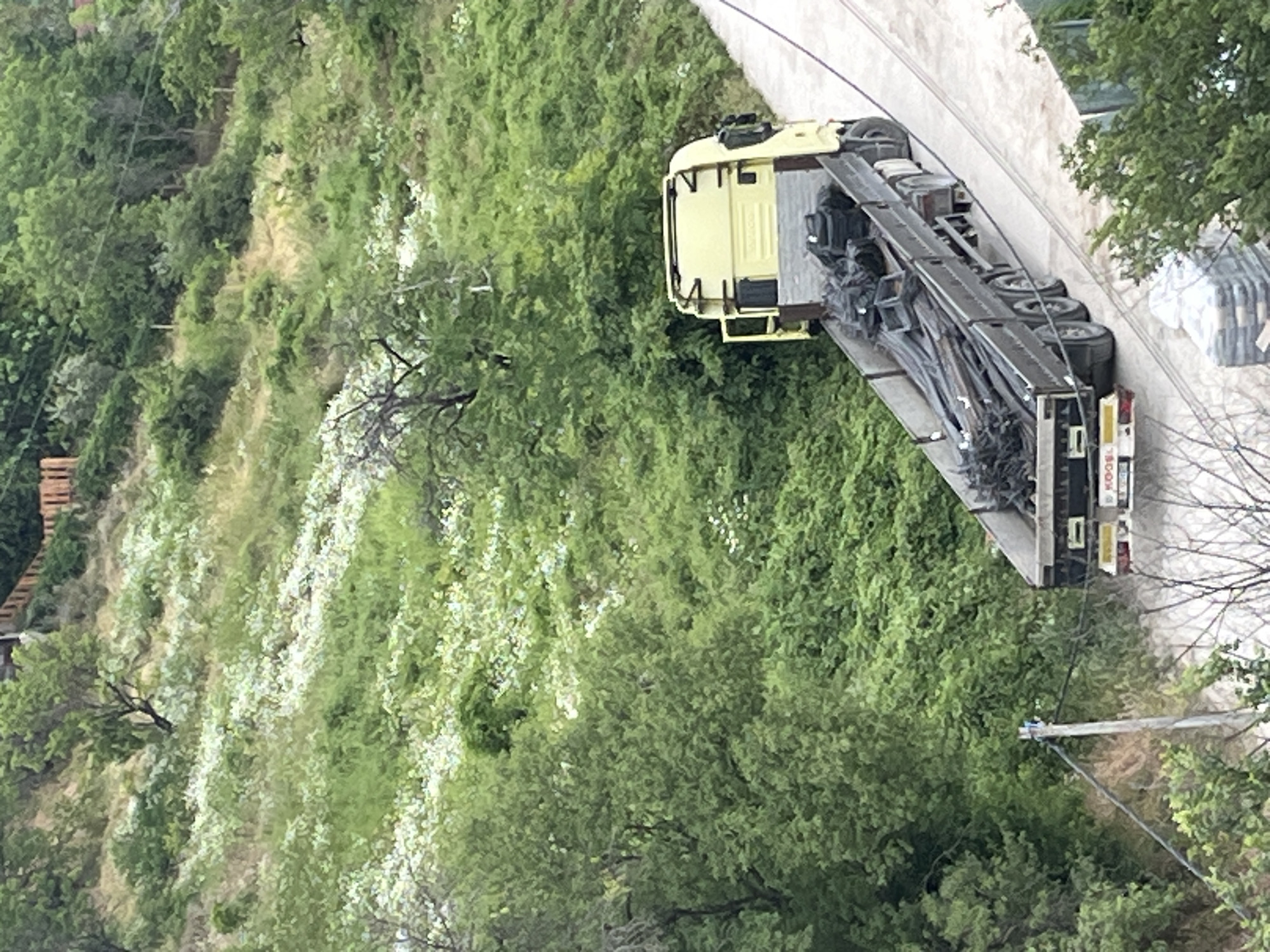 A light yellow flatbed truck is parked on a paved road amidst a lush green, hilly landscape. The truck bed is laden with long metal rods and several large black bags, possibly containing construction materials. The road winds upwards into the dense vegetation, which is characterized by a mix of trees and smaller plants, some of which are covered in small white flowers. In the background, a wooden fence is visible along the crest of the hill. The overall scene suggests a rural or semi-rural environment on the outskirts of Varna, Bulgaria, potentially in a location like the Asparuhovo district, known for its hilly terrain and proximity to nature. The sky is not visible in the frame.