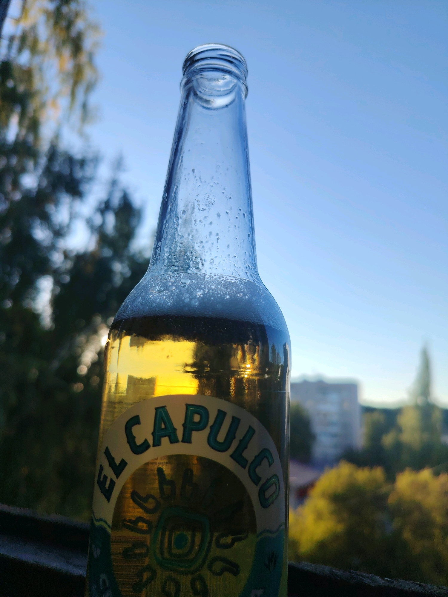 A glass bottle of El Capulco beer stands in the foreground, its golden liquid reflecting the sunlight. The bottle is against a backdrop of a clear blue sky and blurred foliage, suggesting an outdoor setting. The label on the bottle is partially visible, featuring the words "EL CAPULCO" in teal lettering and a circular emblem. The background shows out-of-focus trees and a building, hinting at an urban or suburban environment. The image appears to be taken from a slightly low angle, looking up towards the bottle and sky.
