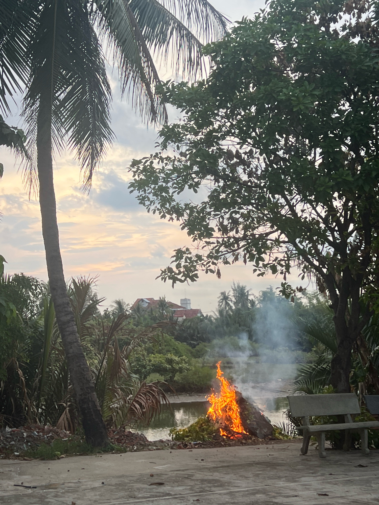The image depicts a tranquil riverside scene in Hoi An, Vietnam, likely during the late afternoon or early evening, as indicated by the warm, soft light filtering through the clouds. In the foreground, a concrete path leads to the right, where a weathered concrete bench sits unoccupied, suggesting a quiet, communal space. To the left, a pile of organic material is actively burning, producing a significant plume of white smoke that drifts upwards. The fire is robust, with bright orange flames reaching upwards, illuminating the surrounding vegetation.
The backdrop features a calm body of water, its surface reflecting the muted colors of the sky and the surrounding foliage. Lush greenery lines the water's edge, with palm trees and other tropical plants creating a dense, verdant landscape. In the mid-ground, a cluster of buildings with red-tiled roofs peeks through the trees, hinting at a residential area nearby. The sky above is a canvas of soft pastel hues, with scattered clouds that appear illuminated by the setting sun. The overall impression is one of a peaceful, rural setting, where everyday activities like burning organic waste coexist with natural beauty and a serene atmosphere.