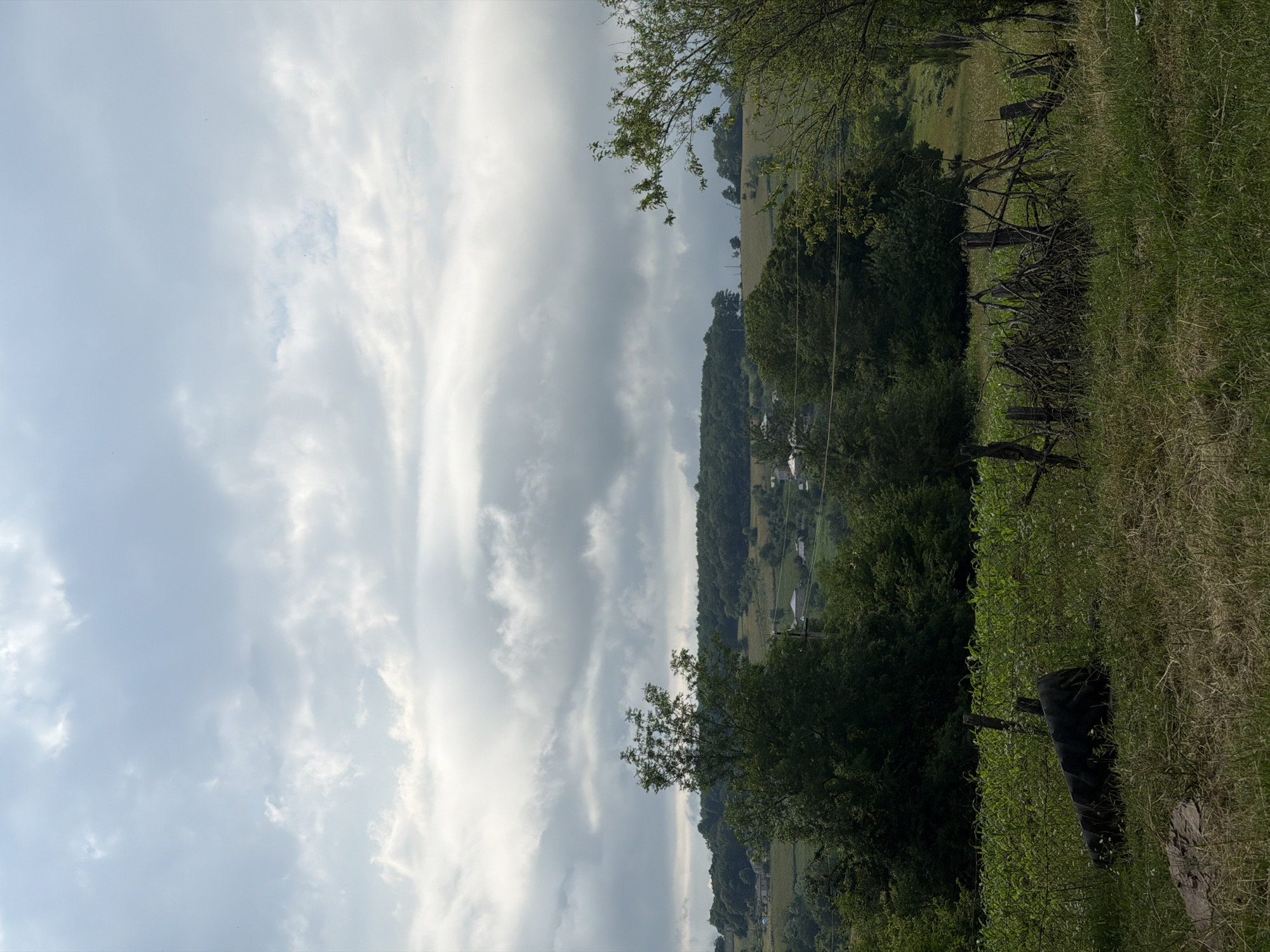 The image depicts a pastoral scene with rolling hills and lush greenery, typical of a rural setting. The sky is partially overcast with dramatic, wispy clouds, suggesting a dynamic weather system. In the foreground on the right, a rough, rustic fence made of branches and posts separates a grassy area from a densely wooded slope. Further into the landscape, houses and structures are visible, nestled amongst the trees and fields, indicating a small village or settlement. The overall impression is one of tranquility and natural beauty, possibly captured during the daytime under soft, diffused light. The orientation of the image is such that the horizon appears vertical, suggesting it may have been taken with a phone held in portrait mode and then rotated. There is no visible text in the image.