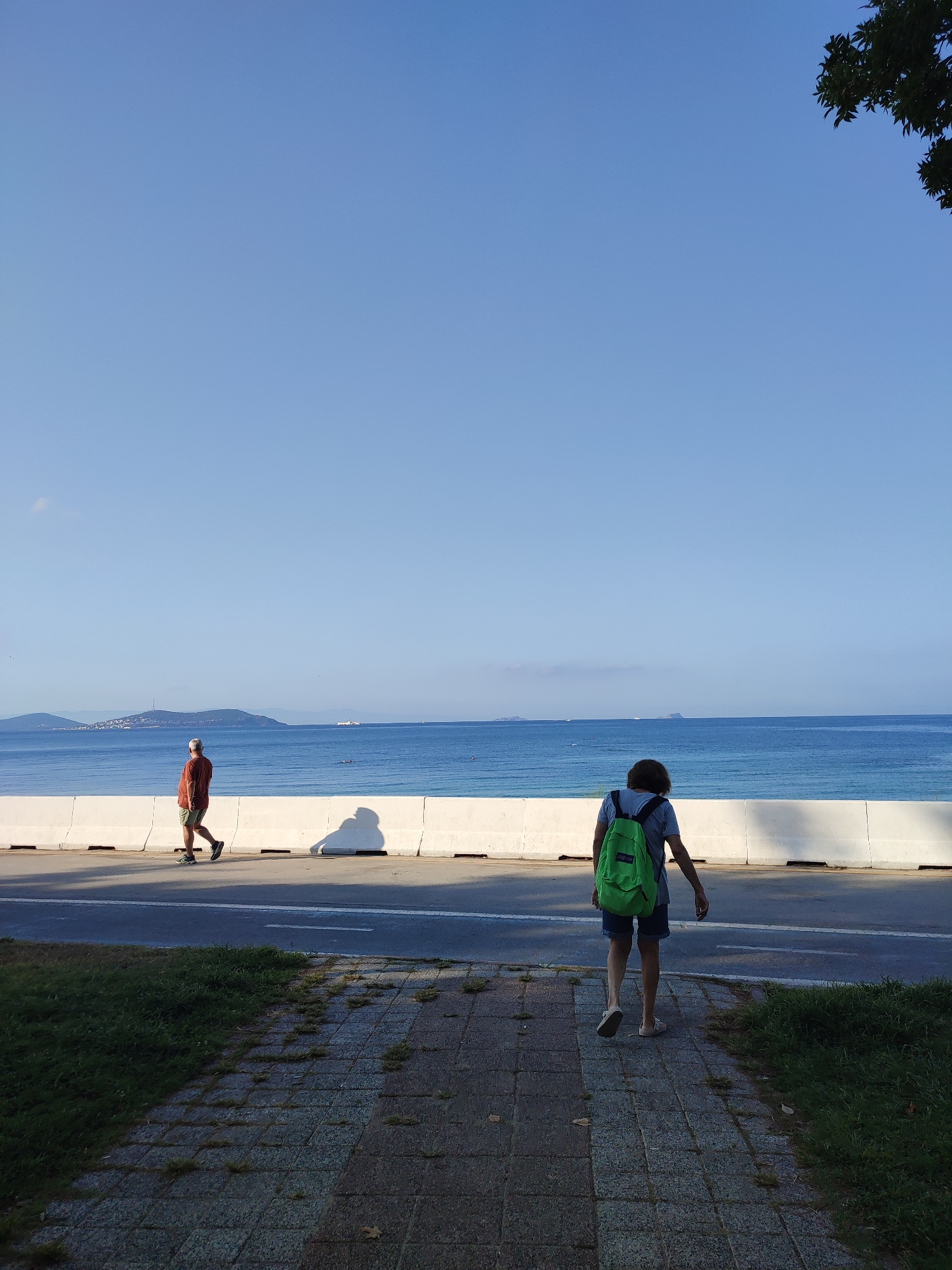 A medium shot captures two individuals walking along a paved pathway next to a calm blue sea under a clear blue sky. The pathway is bordered by a low white barrier on the right, separating it from the sea. To the left of the pathway is a road, and beyond that, a strip of grass.
The person on the left is a man wearing a reddish-orange t-shirt and shorts, walking away from the camera and towards the left side of the frame. A prominent shadow of him is cast on the white barrier.
The person on the right is a younger individual, possibly a child or teenager, wearing a gray t-shirt, denim shorts, and a bright green backpack. They are walking away from the camera and towards the right side of the frame.
In the background, across the sea, are faint outlines of islands and a large ship. The horizon is clearly visible, dividing the sea from the sky. The image appears to be taken in Kadıköy, Turkey, likely along the seaside promenade.