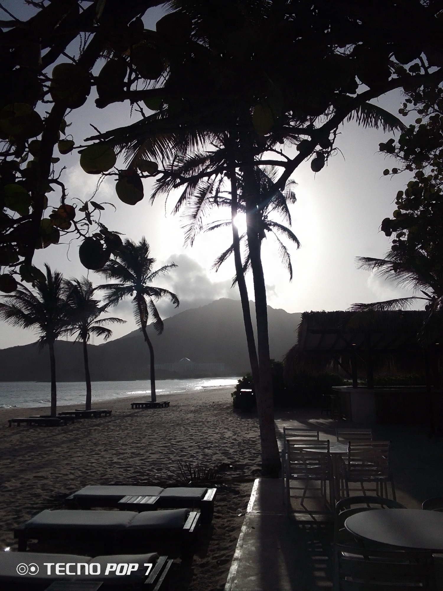 The photograph depicts a beach scene in Pedro González, Venezuela. Several palm trees are silhouetted against a bright sky, with sunlight filtering through their fronds. A mountain is visible in the background across the water. On the beach, there are lounge chairs, and closer to the camera, there is a patio area with tables and chairs. A thatched-roof structure stands to the right of the frame. Coconuts are visible hanging from the trees in the foreground. The scene appears tranquil and deserted. The logo "TECNO POP 7" is visible in the bottom left corner of the image.