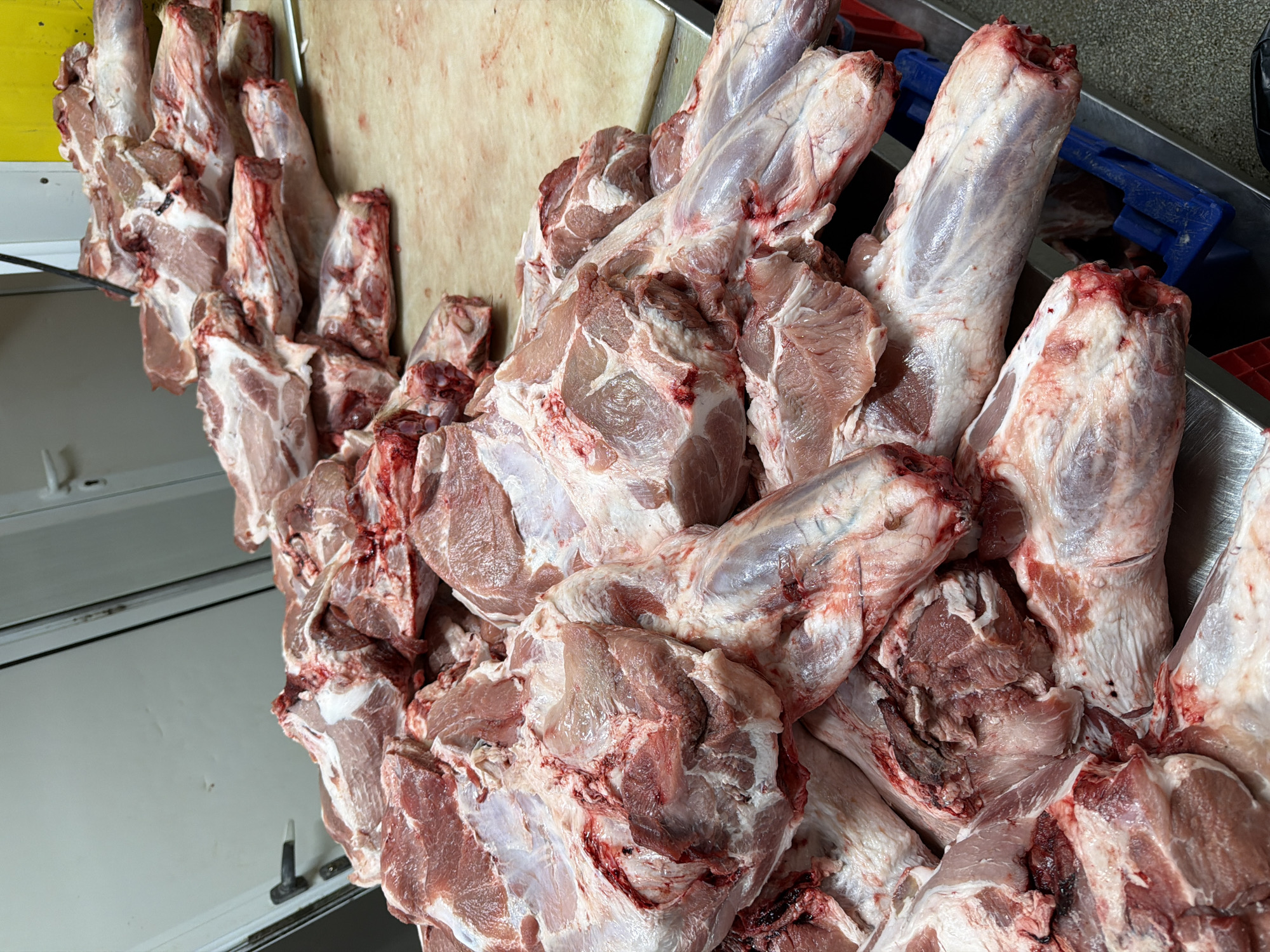 A large pile of raw meat cuts, likely pork, is arranged on a stainless steel counter and in blue plastic crates. The meat is predominantly pinkish-red with visible white fat and some reddish blood. The pieces vary in size and shape, with some appearing to be leg portions due to the presence of bone. In the background, a white door with a black handle is visible, suggesting an indoor environment, possibly a butchery or food preparation area. The lighting is neutral, and the overall scene is sterile and clinical, focusing solely on the raw meat products. The image appears to be taken in Shtraklevo, Bulgaria.