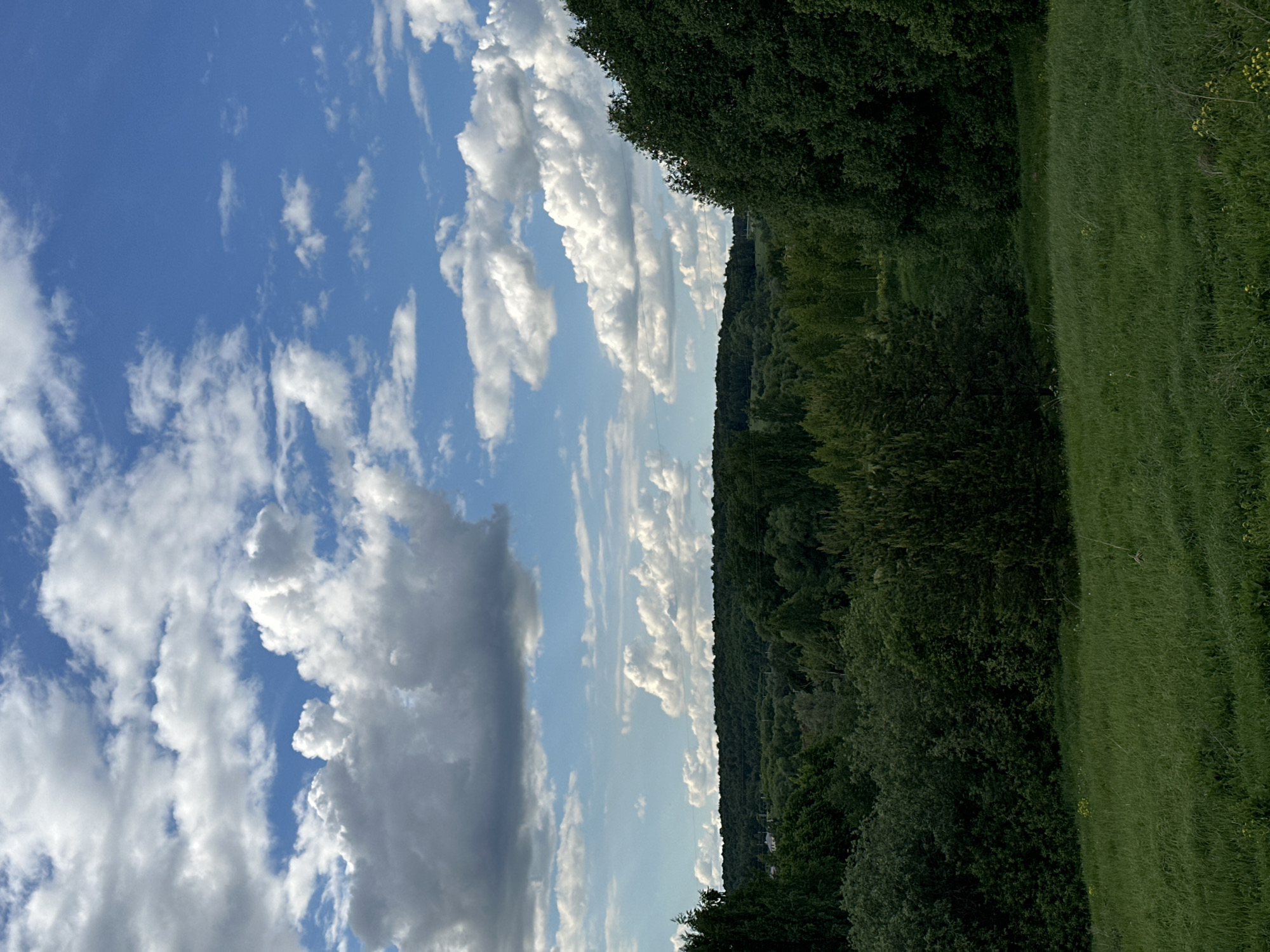 The image depicts a landscape scene in Эстачи, Russia. The sky occupies a significant portion of the frame and is a vibrant blue with scattered cumulus clouds, some appearing bright white and others darker with shadows. The ground is covered in lush green vegetation, including trees and grass. A field stretches along the side of the trees.
