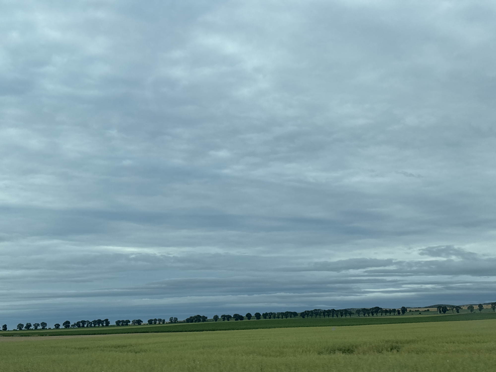 The image depicts a rural landscape under a cloudy sky. In the foreground, a vast, green field stretches across the frame. Beyond this, a line of trees forms a dark silhouette against the horizon, with rolling hills visible in the distance. The sky is filled with layers of gray clouds, creating a somber atmosphere. The scene appears to be a natural landscape, likely in a rural area. There are no people or man-made structures visible in the image, and no actions or interactions are taking place. The location is identified as Polsko Padarevo, Bulgaria, indicating it is an outdoor scene in that specific region.