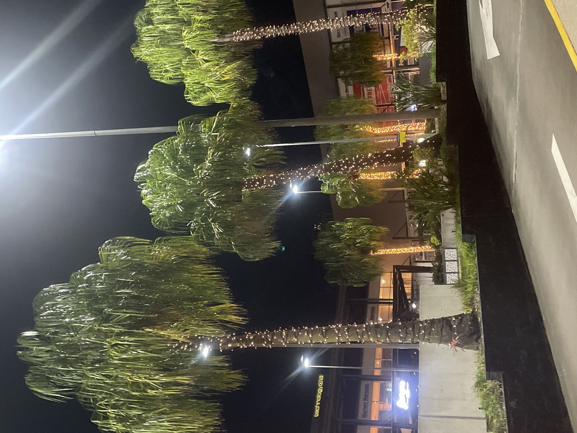 The image shows a nighttime scene of palm trees adorned with fairy lights in an urban environment. The trees are lit from within by the small, white lights, creating a festive atmosphere. Some of the trees also have a warm, orange glow emanating from them, possibly from uplighting. In the background, there are buildings with illuminated signage, including "technologyane" and "Harvey Norman." The scene appears to be a commercial or shopping area, given the presence of these retail store names. The lighting suggests it is after dark, and the clean lines of the buildings and the paved area in the foreground indicate a well-maintained outdoor space. The absence of people suggests the image was taken at a time when the area is not heavily populated. The overall impression is one of a modern, possibly outdoor shopping precinct or entertainment area, decorated for an evening event or holiday. The specific location of the city is Brisbane, Australia.