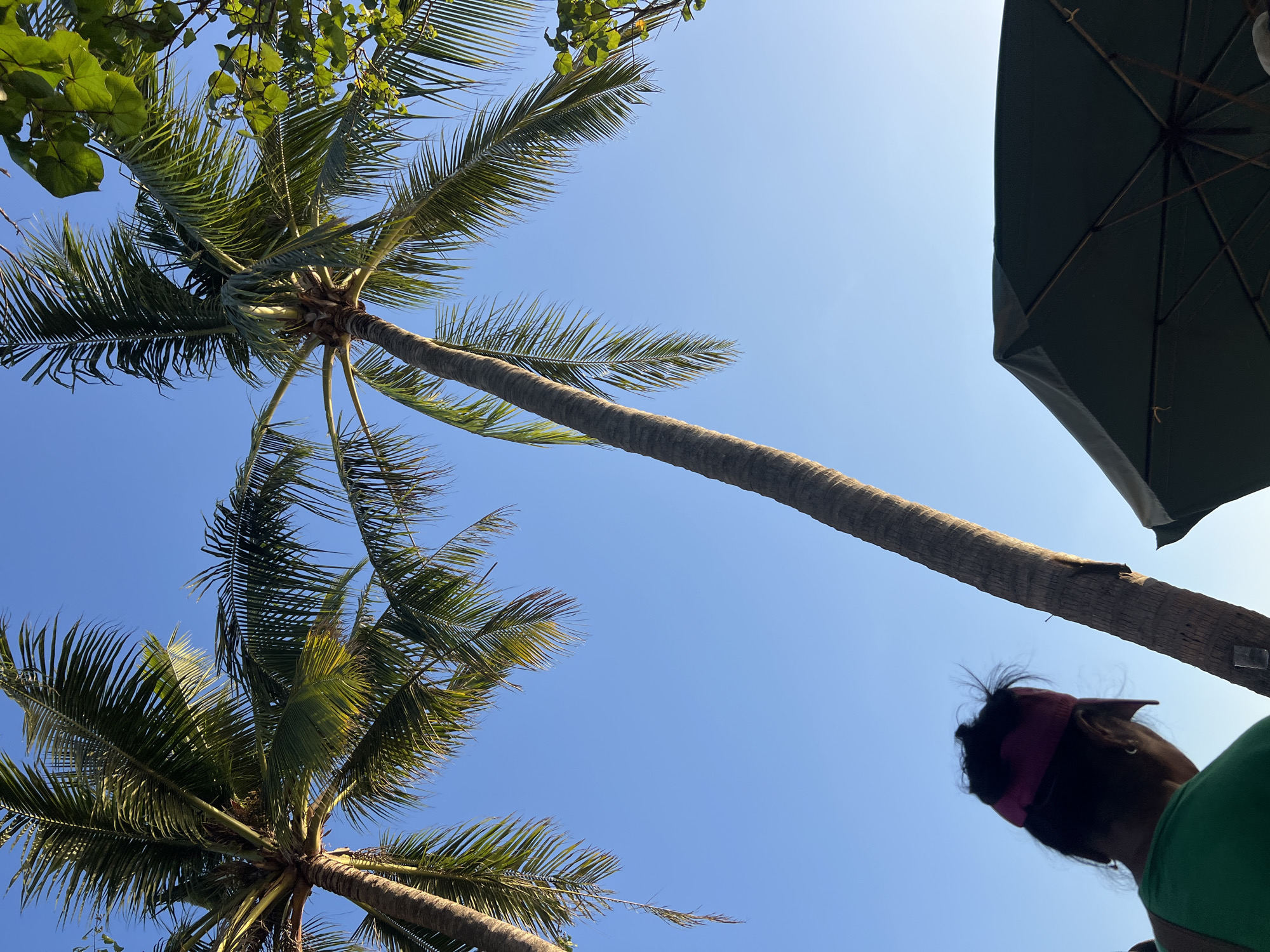 A low-angle shot shows two palm trees against a clear blue sky. In the foreground, a person wearing a green shirt and a pink visor is seen from behind, looking towards the right of the frame. A dark green umbrella is partially visible in the lower right corner. The image appears to be taken in Kuta, Indonesia, likely on a beach or a resort area given the presence of palm trees and an umbrella. The lighting suggests it is daytime, possibly late afternoon due to the angle of the sun.