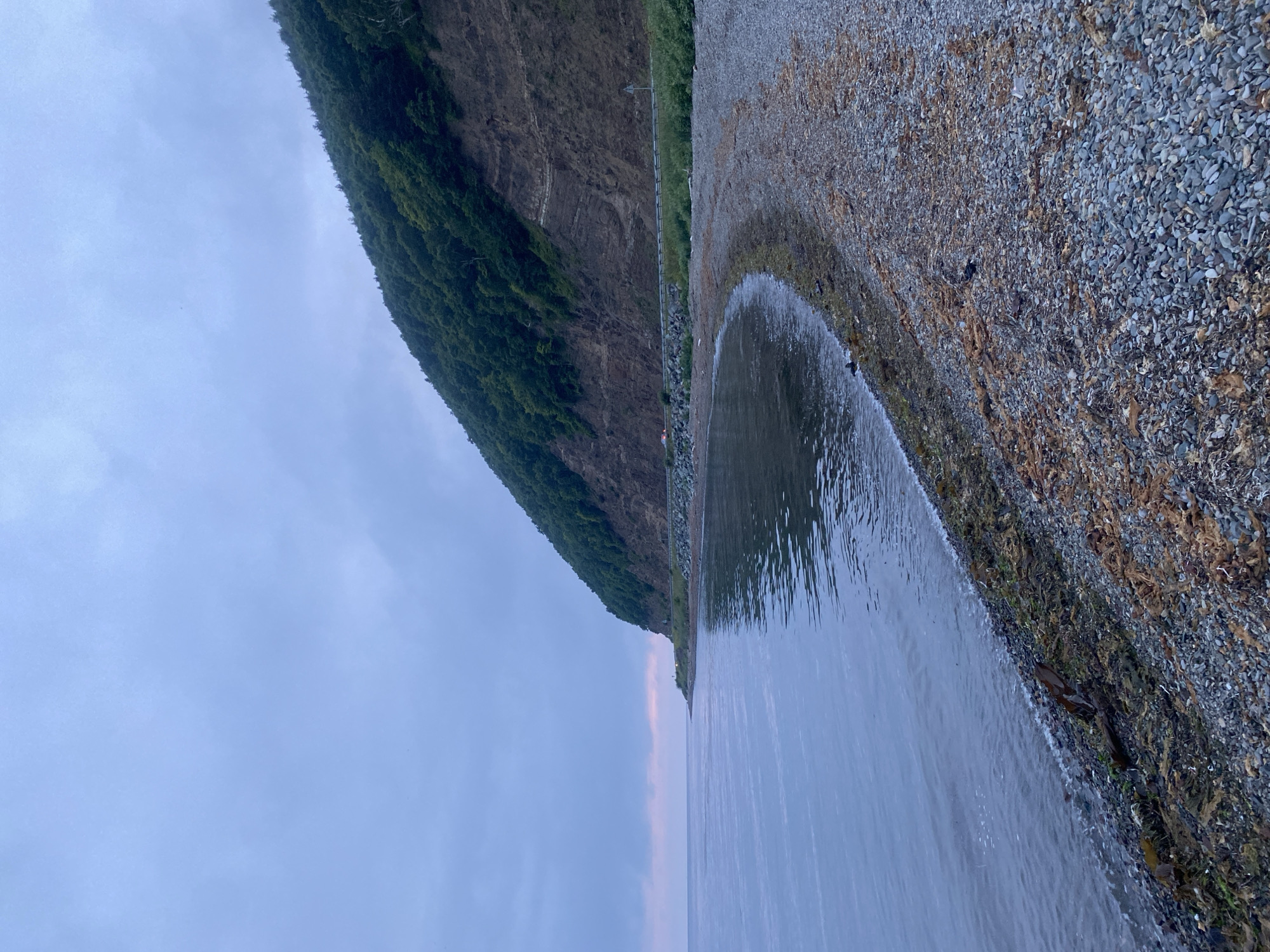 A calm, overcast sky looms over a coastal scene in Korsakov, Russia. The image captures a sweeping view of a rocky beach meeting the gentle waves of the sea. A steep, tree-covered mountainside runs along the coast, with a road and guardrail visible midway up its face. Scattered seaweed and driftwood line the shore, adding a touch of natural detail to the otherwise stark landscape. The overall impression is one of quiet solitude, with the muted colors and soft light evoking a sense of peaceful melancholy.