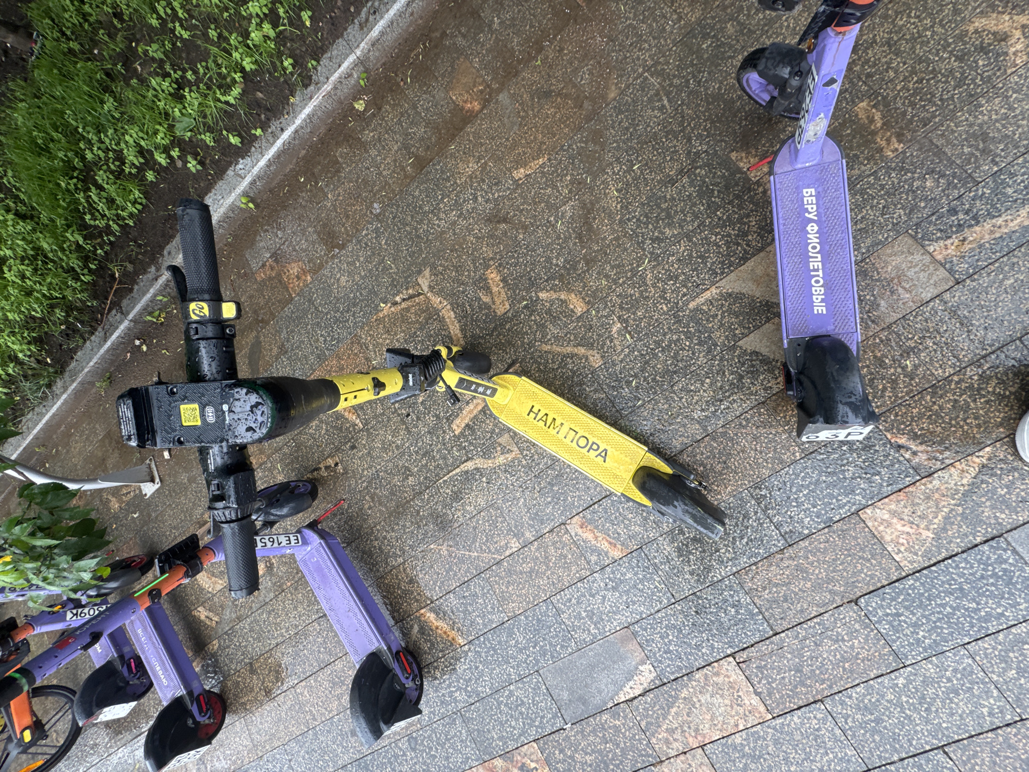 In Moscow, Russia, a line of electric scooters is parked on a wet, paved walkway. The scooters are mostly purple, with one prominent yellow scooter in the center. The yellow scooter has "HAM TOPA" written on its deck in large, white Cyrillic letters. Some of the scooters have QR codes and other identifying marks. The walkway is made of rectangular pavers with some moss and water evident. To the right of the walkway, there is a strip of green grass and foliage. The scene appears to be outdoors, likely in a public area.