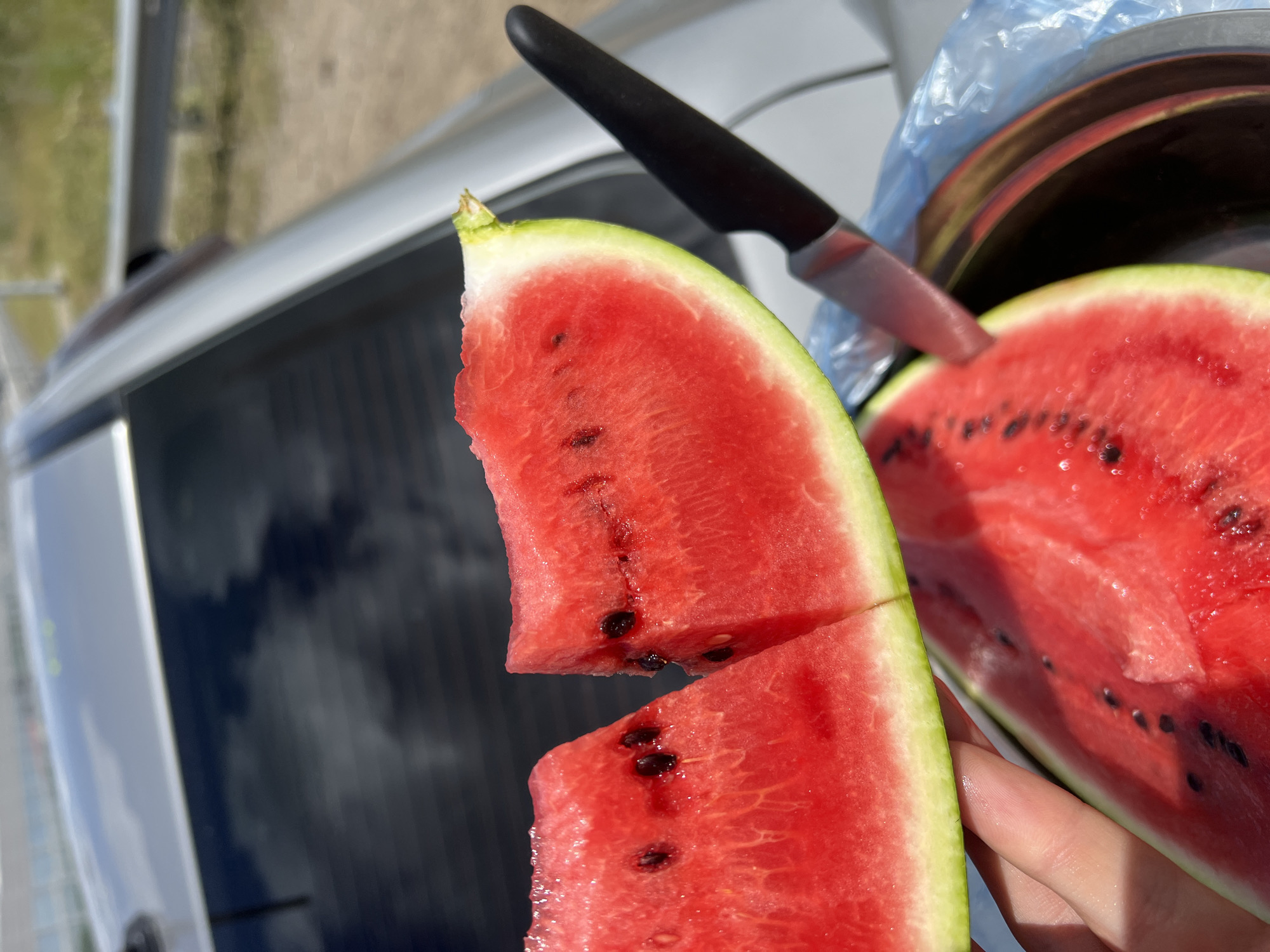 In a sunny outdoor setting, possibly in or near Александровка, Russia, a hand holds two bright red watermelon slices. The slices have visible black seeds and a thin green rind. Behind the watermelon, a silver car's trunk or hood is visible, reflecting the sky and surrounding environment. A black-handled knife is partially inserted into one of the watermelon slices, with its metallic blade showing. A shiny metal bowl, partially covered with a blue plastic bag, is situated to the right and below the watermelon slices. The background suggests a roadside or open area with a guardrail and vegetation.