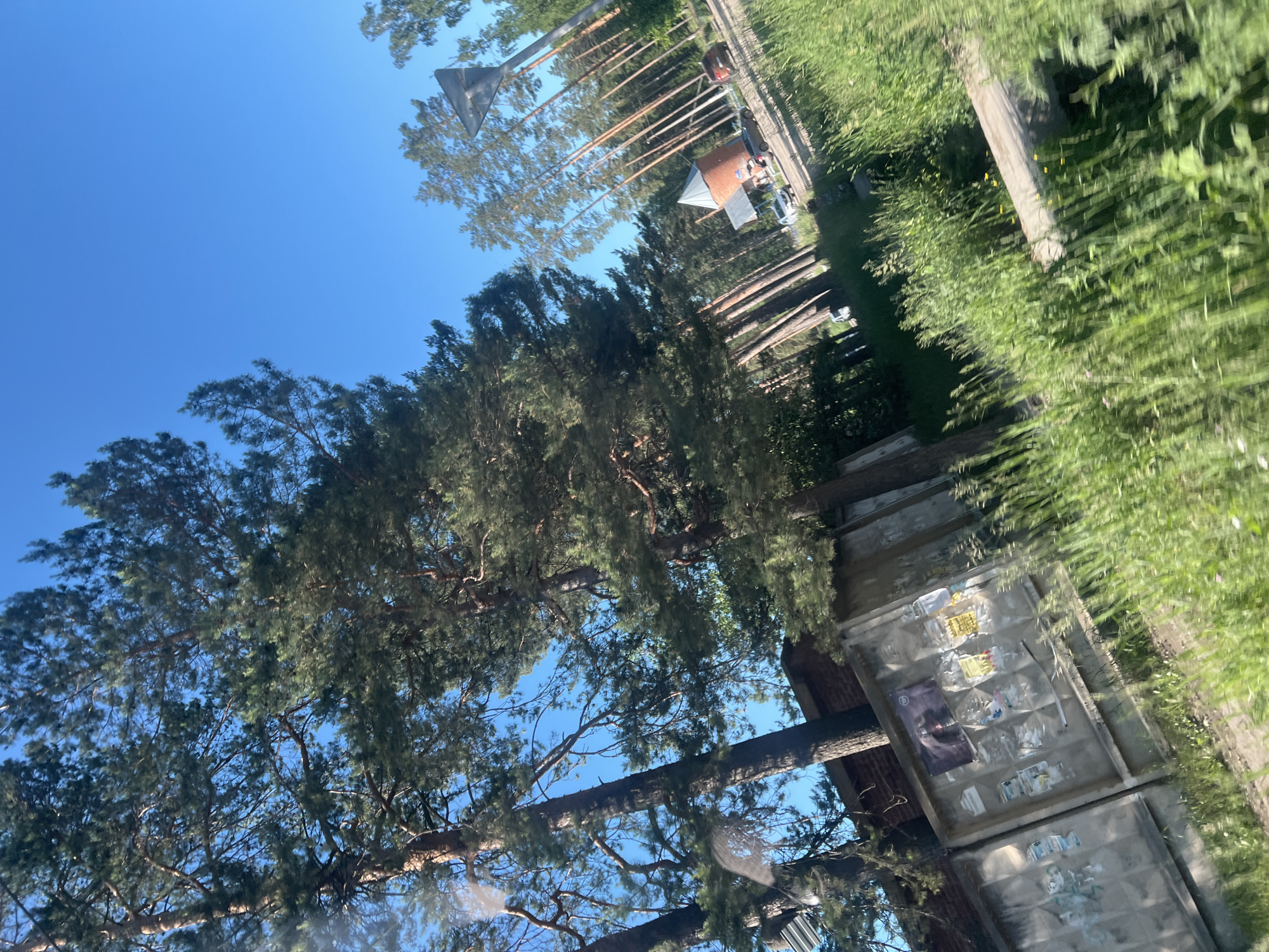 The image shows a view from a vehicle, likely in motion, capturing a roadside scene with lush green vegetation and tall pine trees under a clear blue sky. In the foreground, a weathered, concrete fence is visible, adorned with several posters and notices covered in clear plastic. Beyond the fence, a circular, brick structure with a conical roof, resembling a small tower or silo, stands against a backdrop of numerous slender pine trees. Several cars are parked or driving on a road adjacent to the trees. The overall impression is of a rural or semi-rural setting in Russia, possibly in a town or village like Noviy, given the context of the request.