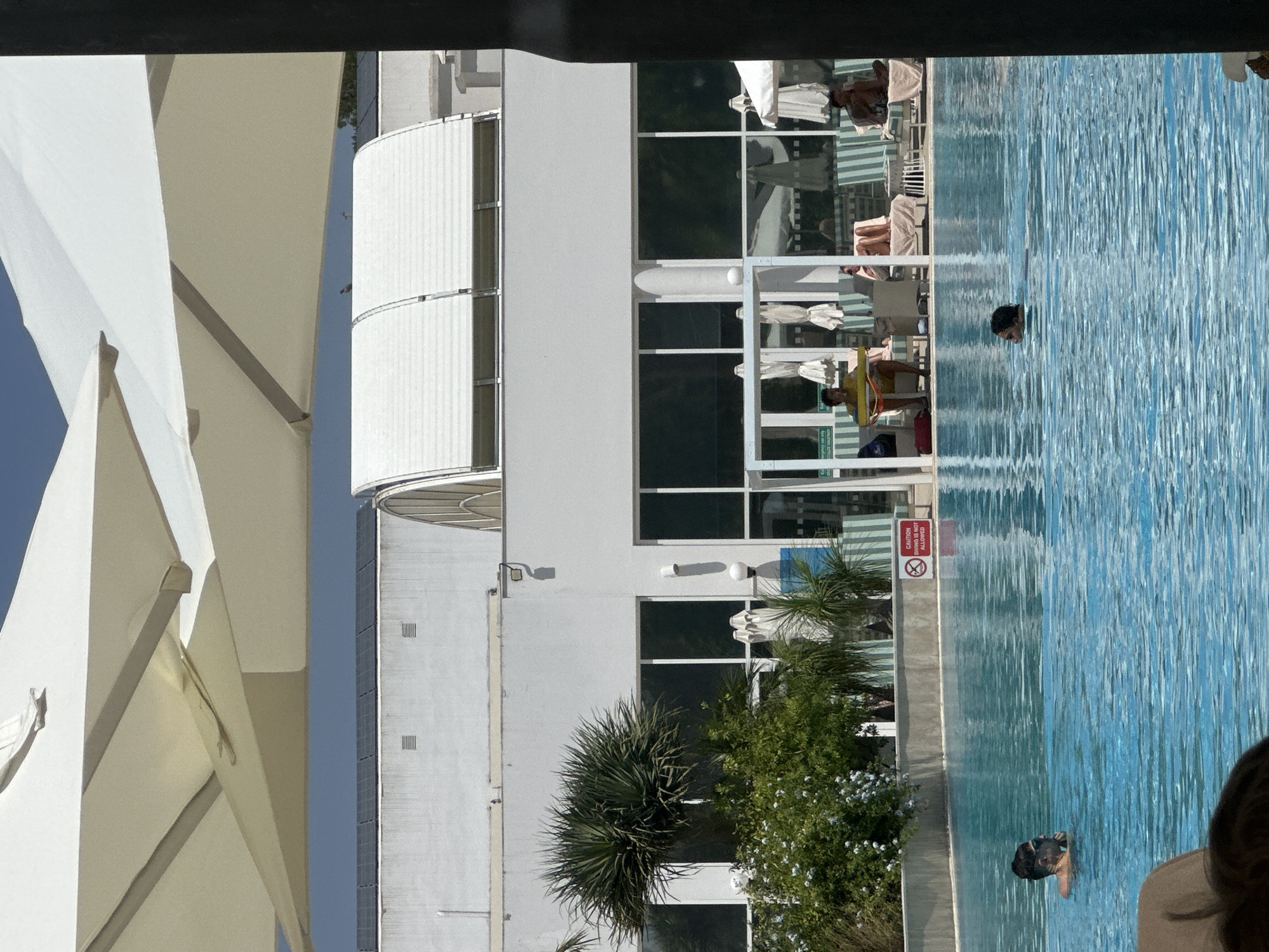 A low-angle, full-shot photograph captures a sunny day at an outdoor swimming pool. The pool's surface is a vibrant turquoise, rippling gently. In the foreground, two individuals are swimming. On the left, a person with dark hair and sunglasses is visible from the chest up, their head above water. To the right, another person with dark hair is swimming, their head and shoulders visible. In the mid-ground, a white, open-sided structure stands partially submerged in the pool, with umbrellas folded and resting inside. Behind this structure, lounge chairs with striped cushions are arranged, some occupied by people sunbathing. A red sign with white lettering, reading "CAUTION DIVING IS NOT ALLOWED," is posted on a wall to the left of the pool. Beyond the pool area, a modern white building with large, dark-tinted windows stretches across the scene. The building's roof features a curved, white structure with horizontal slats. Several large, white cantilever umbrellas provide shade over the pool area. Lush green foliage, including a palm-like plant and flowering bushes, is visible to the left of the building. The sky above is a clear, bright blue.