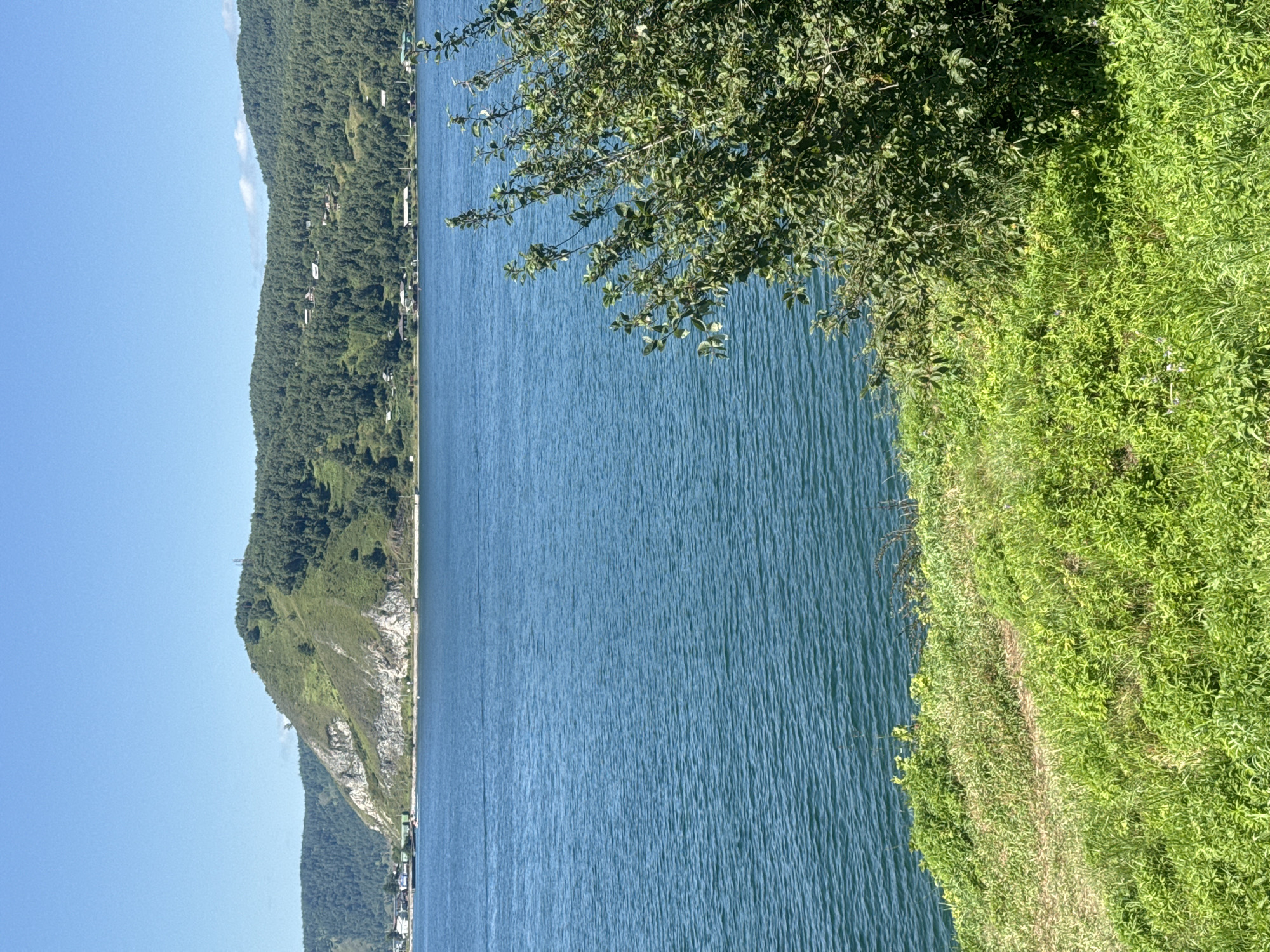 This is a scenic view of a wide, blue body of water, likely Lake Baikal, from a grassy embankment. In the background, rolling hills covered in dense green forest rise steeply from the water's edge. Several small buildings and what appear to be scattered houses are visible nestled within the trees on the hillsides. The sky is clear and bright blue. In the foreground, the embankment is covered in lush green grass and foliage, with a large, leafy green bush dominating the right side of the frame. The water's surface shows small ripples, indicating a calm day. The scene captures a natural, tranquil environment, typical of the landscapes found around Listvyanka, Russia, a village located on the shores of Lake Baikal.