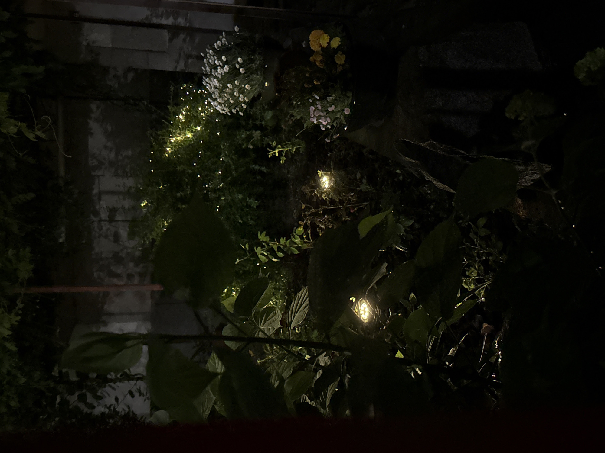The image depicts a garden scene at night. Assorted plants, including flowering bushes with white, yellow, and pink blossoms, are visible. Some of the plants are decorated with small string lights. A stone wall or structure forms the backdrop in the upper left. A stone staircase is visible in the upper right. Larger leaves in the foreground partially obscure the view. The location is presumed to be Plovdiv, Bulgaria, based on user input, but this cannot be verified from the image.