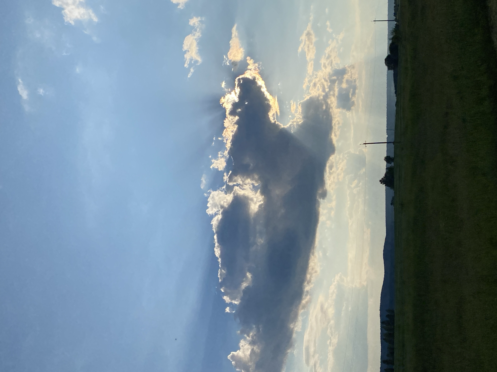 The image depicts a wide, flat agricultural landscape under a dynamic sky. In the foreground, a dark green field of grass stretches to the horizon. In the mid-ground, a silhouetted treeline with rolling hills behind it marks the distant boundary of the field. Two utility poles with wires strung between them are visible in the mid-ground, breaking the horizontal line of the horizon. The sky is a vibrant blue with scattered clouds. A large, dark cloud formation dominates the center of the sky, with rays of sunlight emanating from behind it, creating a dramatic, backlit effect. The sunlight illuminates the edges of the clouds, giving them a golden-white hue. In the far distance, to the right, a dark structure, possibly a building, is faintly visible against the horizon. The image appears to have been taken in the rural area of Bol'shoe Koshaevo, Russia. There are no people or animals visible in the image.