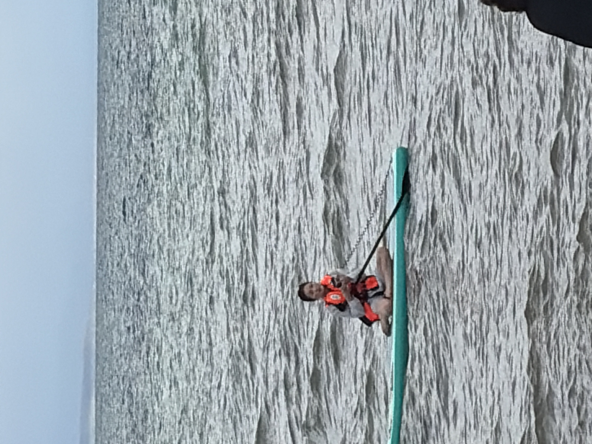 A person wearing an orange life vest is sitting cross-legged on a teal paddleboard in choppy grey water. The person is holding a small animal, possibly a dog, in their hands. A black paddle is resting on the paddleboard, its shaft extending to the right. In the background, the ocean meets a hazy horizon with a faint landmass visible. The sky is overcast and pale blue. The bottom right of the image shows the back of another person's head and shoulders, partially obscuring the view.