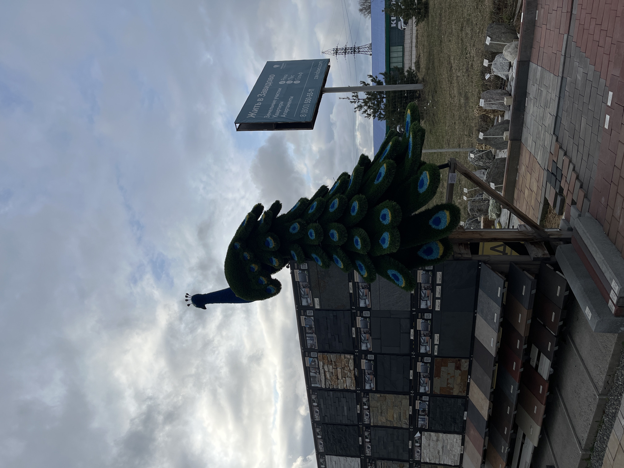 The image captures an outdoor scene in Bezborodovo, Russia. Prominently featured is a decorative artificial peacock, constructed with green "feather" tips adorned with blue and yellow "eyes." The peacock is positioned atop a display rack showcasing various types of stone or tile samples. Beside it, a sign with Russian text, translates to "Living in Zavidovo", also advertising apartments and land plots and displaying a website address "zavidovo.com." Further in the background, a paved area with bricks, stone blocks, and grass is visible. Transmission towers rise in the distance. The overcast sky dominates the upper portion of the frame.