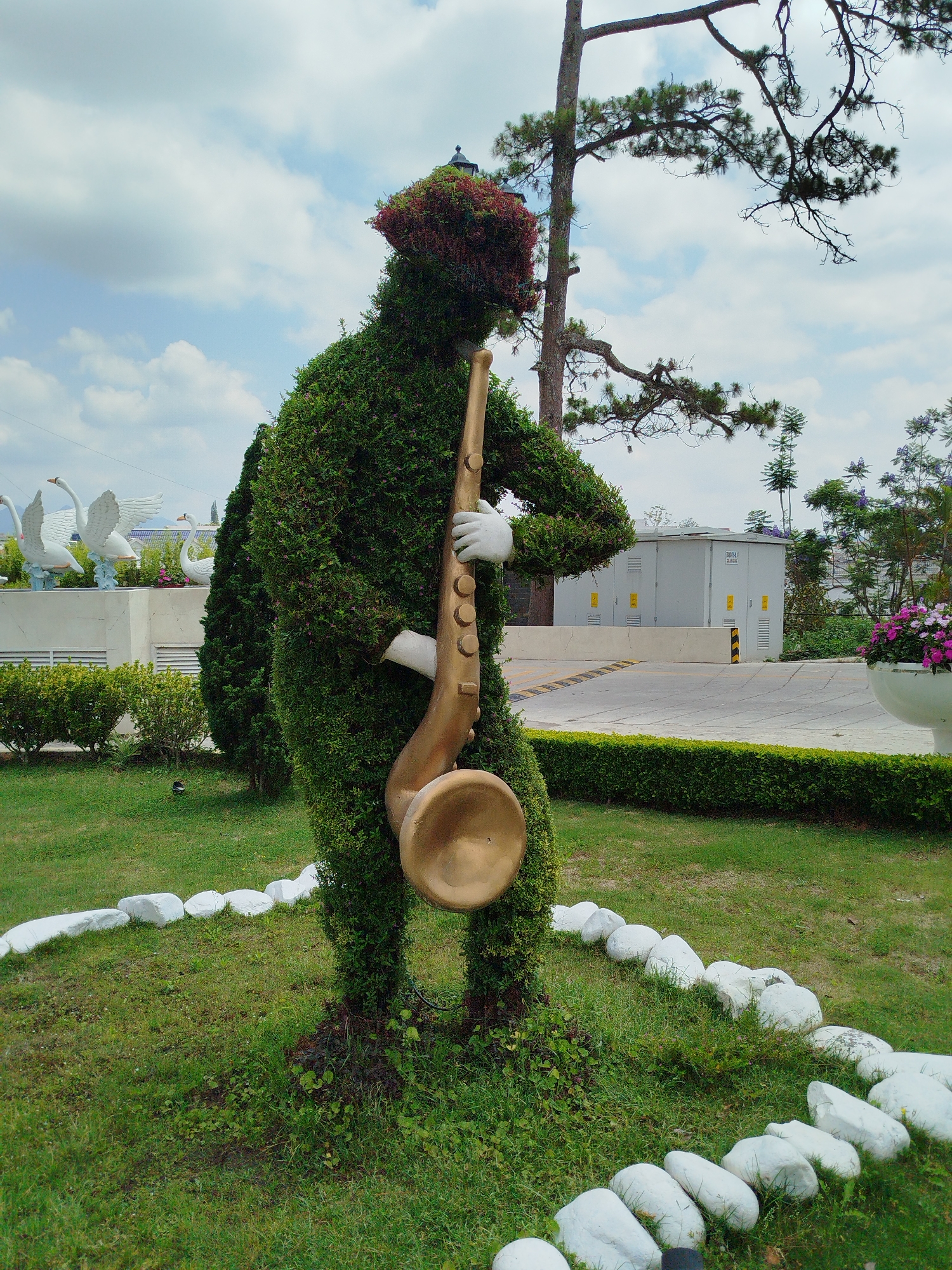 The image shows a topiary shaped like a person playing a saxophone in a garden in Da Lat, Vietnam. The topiary is made of green foliage with some reddish-brown foliage on its head. It is holding a golden saxophone with white gloved hands. The sculpture is encircled by a line of white painted rocks on a grassy lawn. In the background, there are swan statues, a utility building, and other greenery, including trees and shrubs. The sky is partly cloudy.