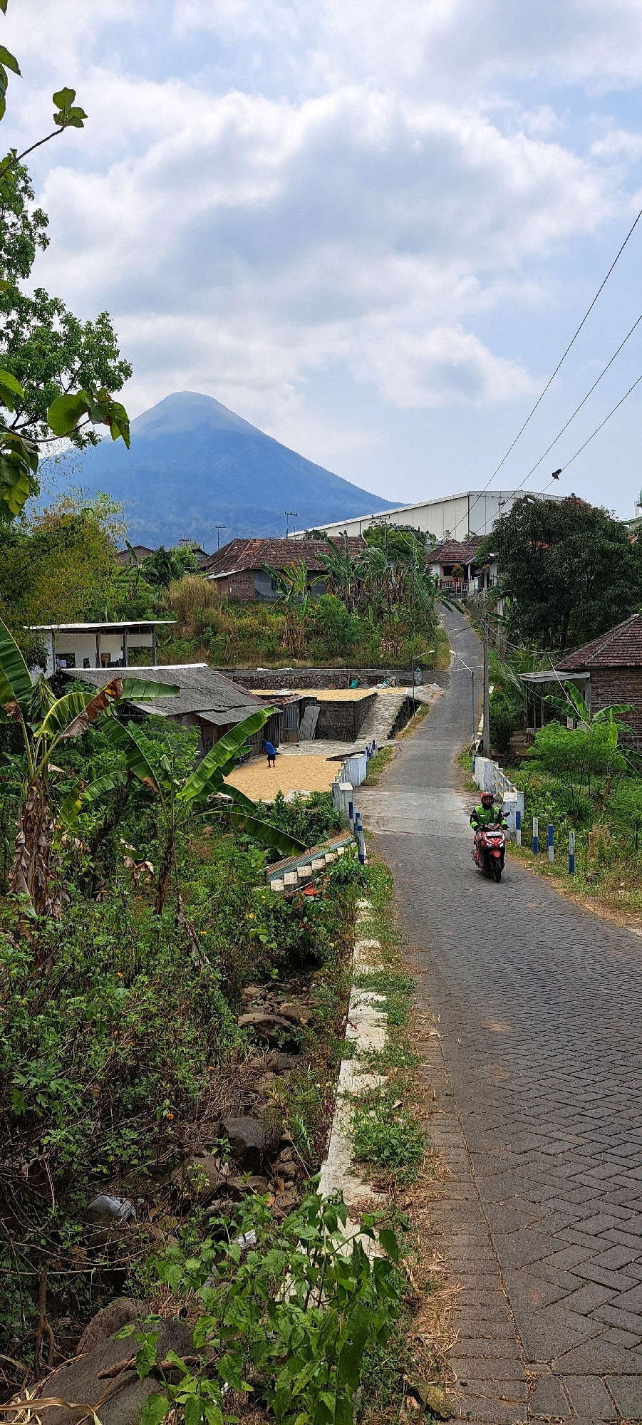 The image captures a scenic view of a rural road in Pandaan, Indonesia, leading towards a distant, mist-shrouded mountain. The road, paved with interlocking bricks, curves gently upwards, bordered by lush greenery and residential structures. On the left side of the road, a person in a blue shirt is tending to what appears to be crops laid out to dry in the sun. Further along the road, a person on a red motorcycle, wearing a green jacket, is heading away from the viewer. The surrounding environment is characterized by dense vegetation, including banana trees, and a few traditional houses with tiled roofs. A large, modern building is visible in the background, contrasting with the rustic setting. The sky is partly cloudy, with soft white clouds against a pale blue backdrop. A small stream runs alongside the road on the left, filled with rocks and overgrown with plants. Power lines are strung across the upper right portion of the frame.