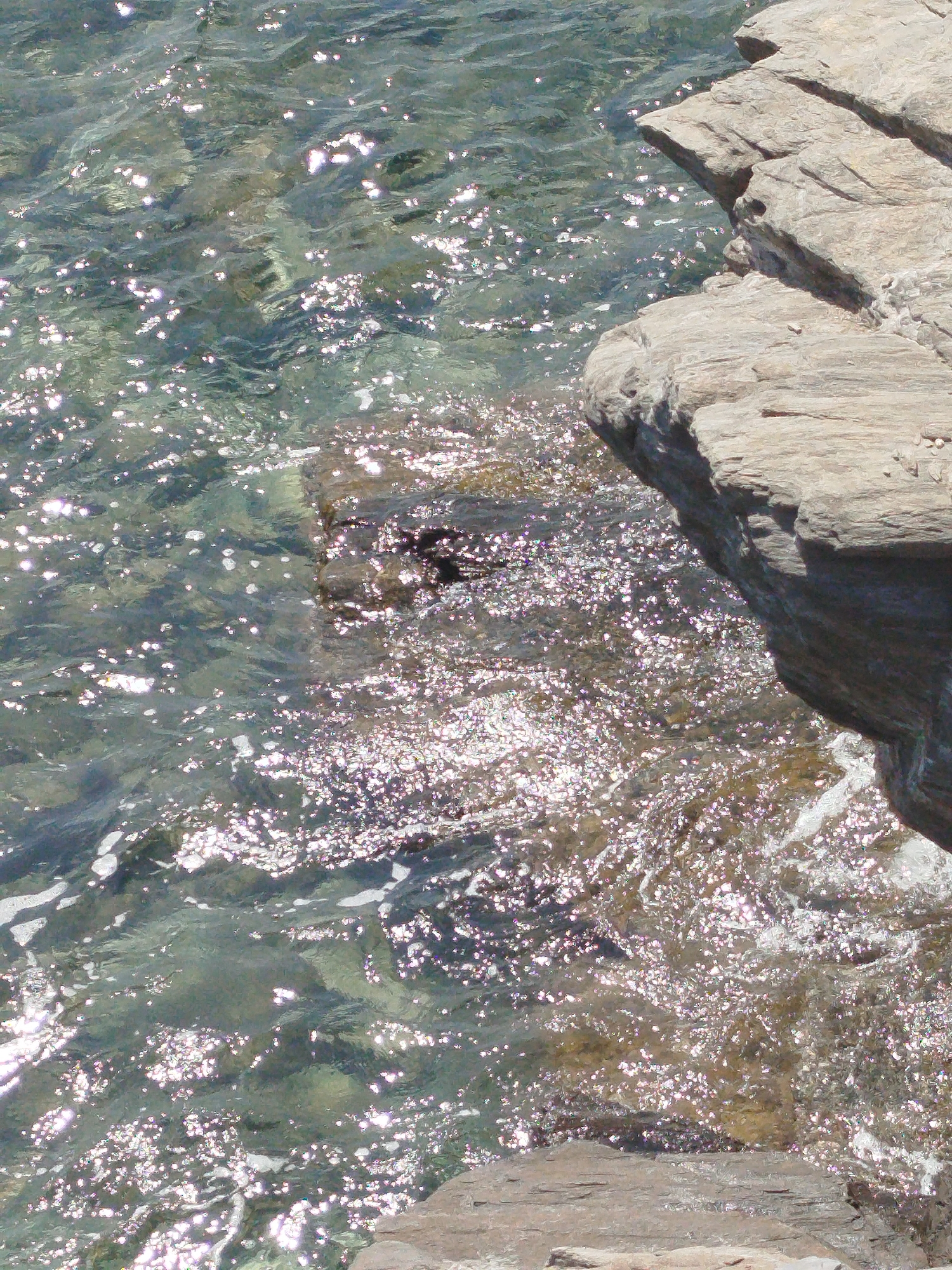 The image shows a section of the coastline in the Sithonia Municipal Unit, Greece, with clear, shallow water lapping against rocky terrain. The sun glints off the water's surface, creating a shimmering effect. The rocks are layered and appear weathered, with some submerged in the water. There are no people or any other discernible subjects or actions in the scene.