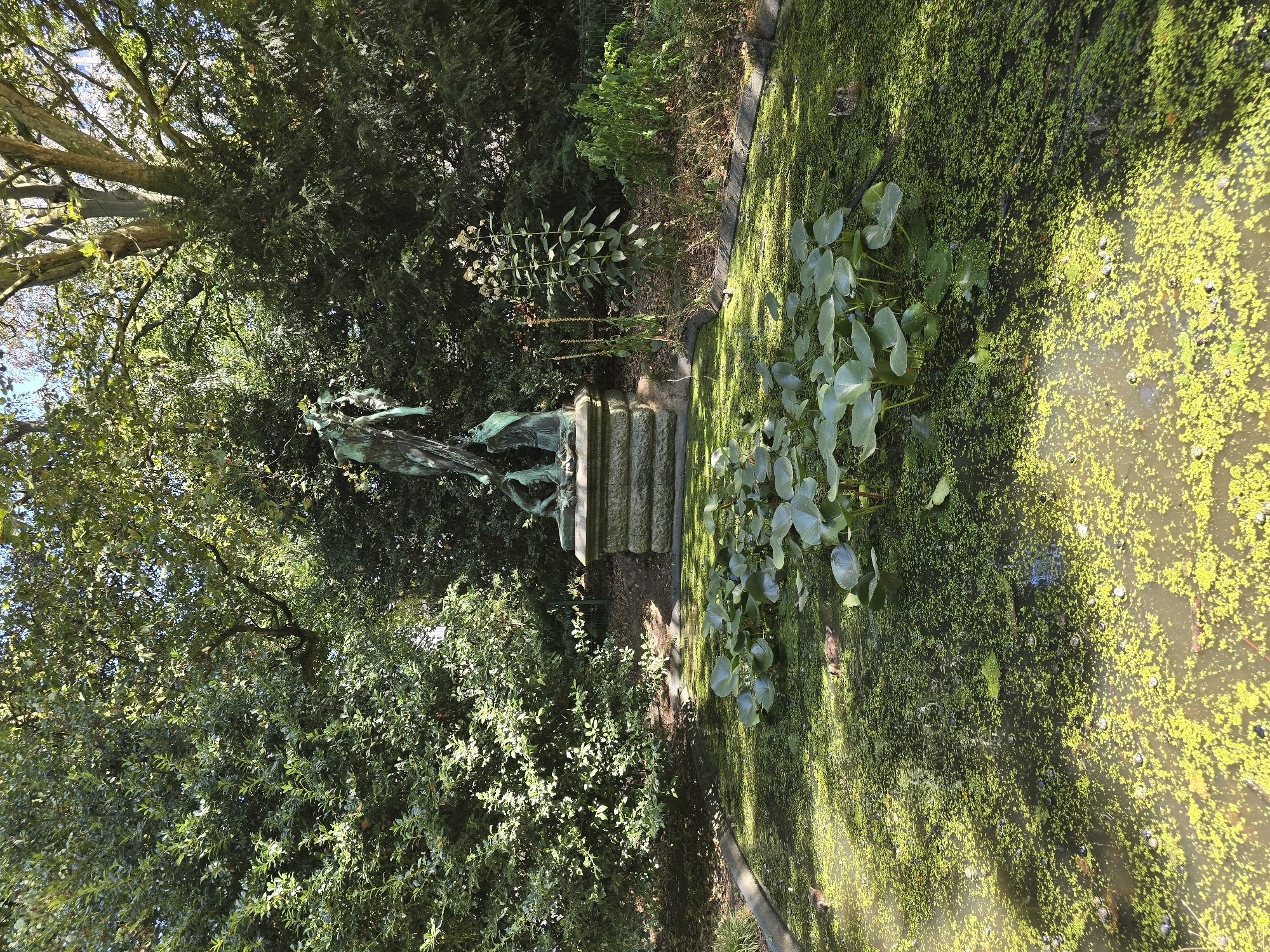In the city of Antwerp, Belgium, a bronze sculpture of figures stands on a tiered stone pedestal in a pond. The pond's surface is covered with a thick layer of bright green algae and scattered lily pads. In the foreground, two ducklings are visible swimming in the murky water. Lush green foliage and trees surround the pond and sculpture, creating a naturalistic park setting. The sun casts dappled shadows across the water and surrounding vegetation.