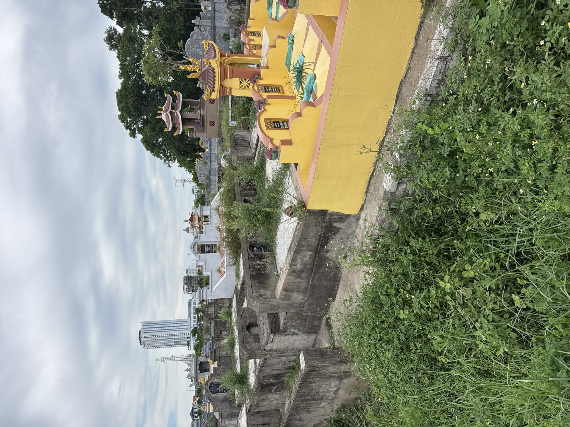 The image depicts a cemetery in Hoa Lư Ward, Vietnam, under an overcast sky. In the foreground, overgrown green grass and small white wildflowers cover the ground and surround concrete tomb structures. To the right, a vibrantly painted yellow and orange tomb with decorative gold accents stands prominently. Beyond this, various other tombs and mausoleums are visible, varying in size and architectural style, some adorned with traditional tiered roofs and ornate carvings. In the background, a tall, modern skyscraper dominates the skyline, with construction sites and smaller buildings scattered amongst lush green trees. A distant transmission tower is also visible on the left. The overall scene suggests a juxtaposition of traditional burial customs and modern urban development.