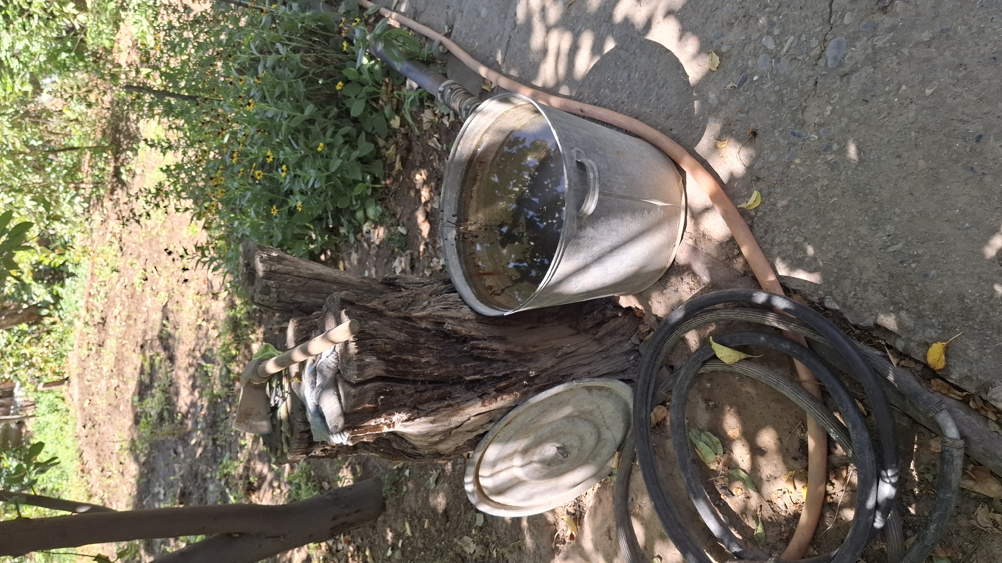 The image depicts an outdoor scene, likely a backyard or garden area, in Шұбарсу, Kazakhstan. The foreground features a large, coiled black hose and a smaller orange hose. To the right of the hoses is a concrete surface, partially shaded by trees, with a metal bucket filled with murky water. A metal pipe extends from the bucket towards the background. Beside the bucket and leaning against a large tree stump is a light-colored lid. Resting on the tree stump are a pair of work gloves and an axe. The stump itself appears weathered and rough. Behind the stump and bucket, there is an area of disturbed earth, with some dry vegetation and a cluster of small yellow flowers with green foliage. The background consists of trees and foliage, suggesting a natural or semi-natural environment. The lighting indicates it is daytime, with strong sunlight casting shadows. There are no people visible in the image.