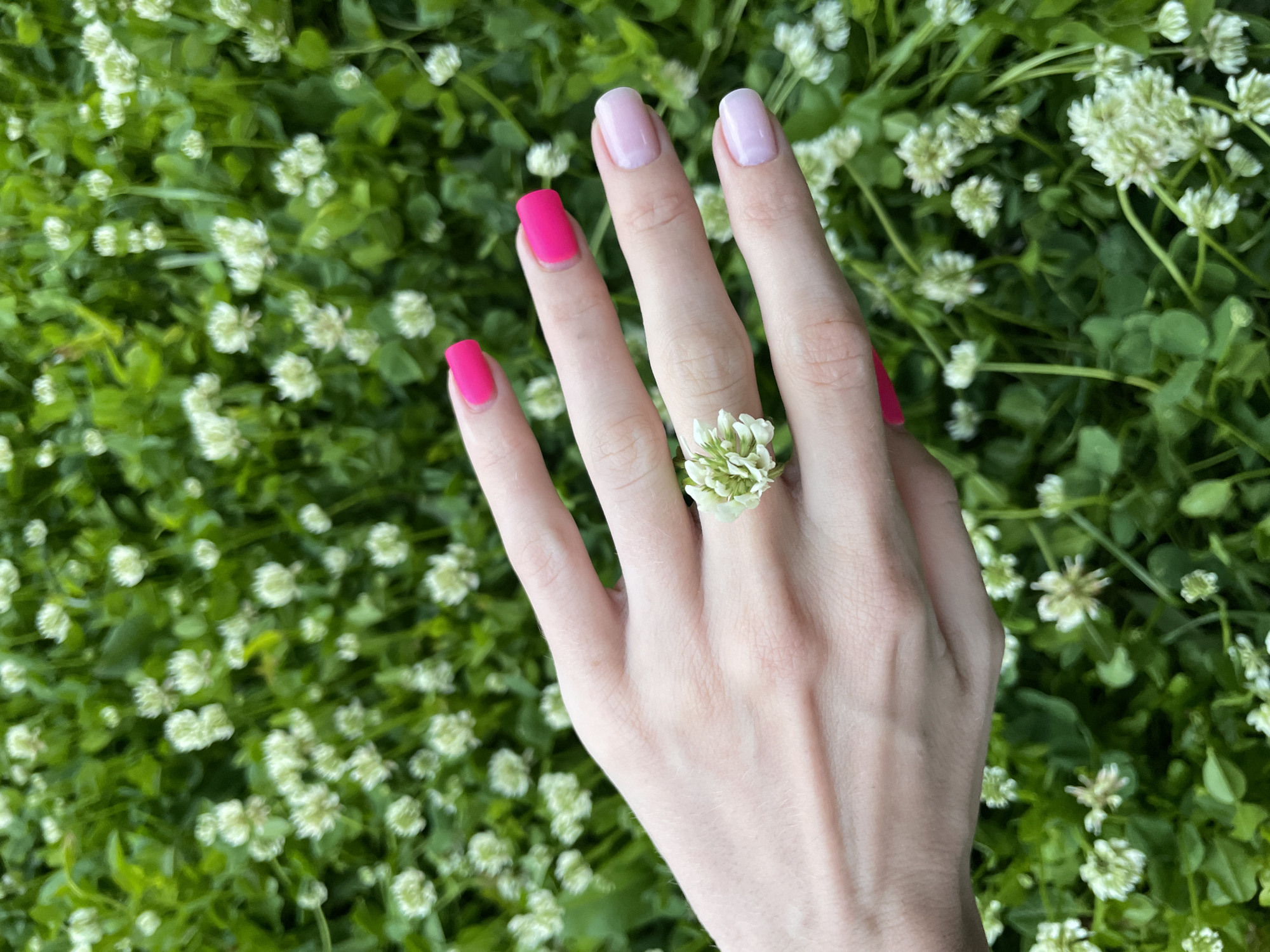 The image displays a close-up of a person's left hand held above a dense bed of green foliage dotted with white clover flowers. The hand is fair-skinned with manicured nails. Three fingers—the thumb, index, and pinky—are painted with a vibrant, hot pink nail polish. The middle and ring fingers have a lighter, pastel pink or lavender polish. A single white clover flower is playfully fashioned into a ring and worn on the ring finger, sitting just below the knuckle.
The background is an out-of-focus but clearly identifiable natural setting, dominated by numerous small, white clover blossoms and their bright green leaves. The lighting is bright and natural, suggesting daytime, possibly under clear skies or soft overcast conditions, as there are no harsh shadows visible. The scene portrays a casual, outdoor activity, perhaps a moment of making and wearing a simple flower ring, often associated with childhood or a playful connection with nature. The overall impression is one of freshness, natural beauty, and a lighthearted mood. There is no visible text in the image. The provided location context is Izhevsk, Russia.