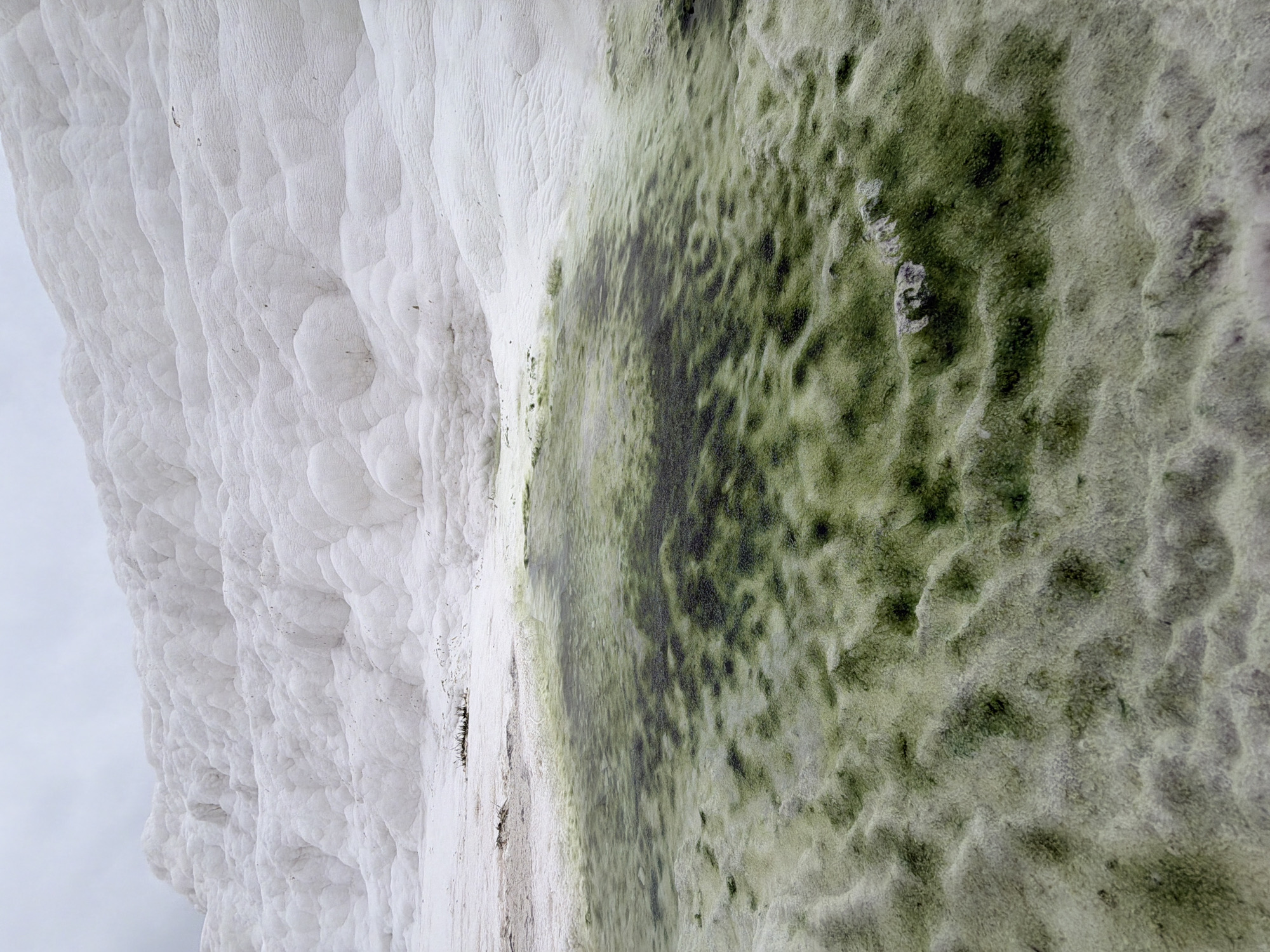 The image depicts a portion of the travertine terraces in Pamukkale, Turkey. The left side of the image shows a section of the terraced formations, characterized by their white color and rounded, irregular shapes. The right side features a green, algae-covered area with some dark patches. The green area appears to be damp, indicating the presence of water flow. The sky is light gray in the upper left corner.