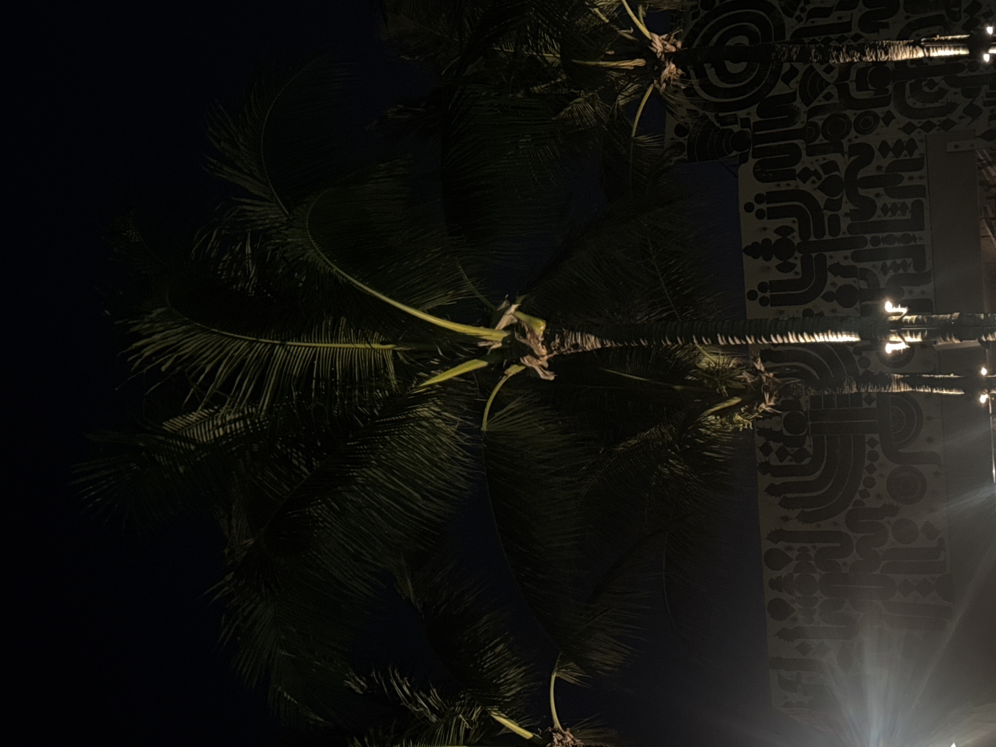 Looking upwards from the ground at night, the scene in North Kuta, Indonesia, shows the dark silhouette of palm trees filling much of the frame against a very dark sky. To the right, a building facade displays a complex, decorative pattern in black and off-white, illuminated by string lights and possibly artificial lighting. No people are visible.