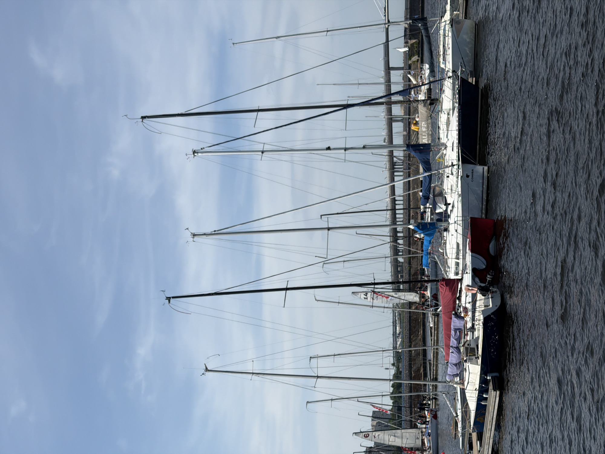 A fleet of sailboats is docked at a marina on a cloudy day. The boats are various sizes and colors, with their masts reaching high into the sky. Some of the boats have sails up, while others are furled. In the background, a bridge spans the water, and a city skyline is visible. The water is dark and choppy, reflecting the sky. The scene appears to be in Saint Petersburg, Russia, as indicated by the style of the bridge and architecture.