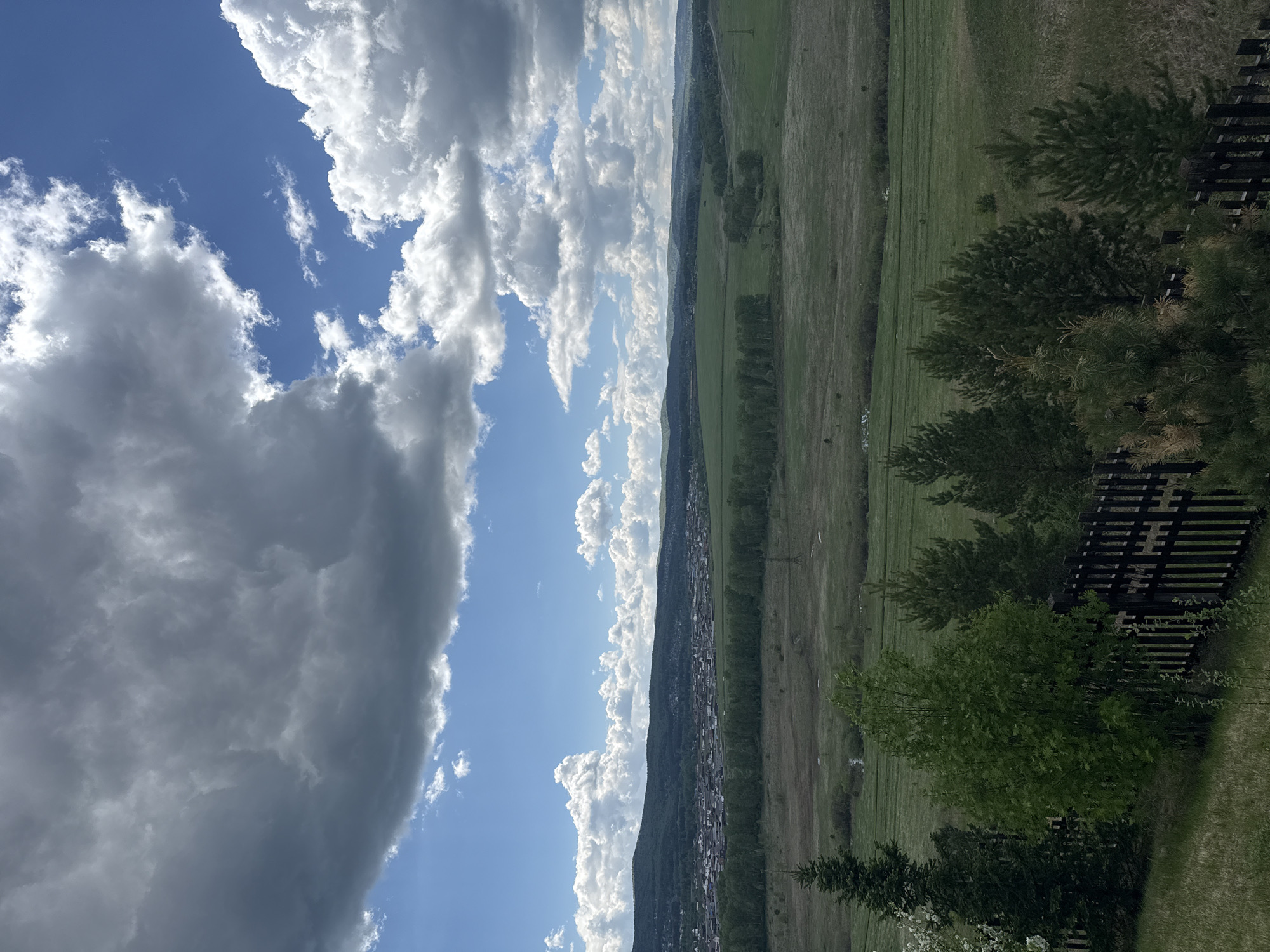 The image shows a landscape view in Shamoni, Russia. The sky occupies a large portion of the frame, featuring a gradient of blue sky dotted with white cumulus clouds, transitioning into a dense mass of gray storm clouds. The horizon line is marked by a series of low hills, densely forested, and dotted with buildings, likely the outskirts of the city. A vast, green field extends from the base of the hills toward the foreground, lined with rows of trees that trace the landscape. In the foreground, a wooden fence is partially visible, alongside some bushes. The overall scene is a blend of natural and constructed elements, indicative of a rural or semi-rural environment.