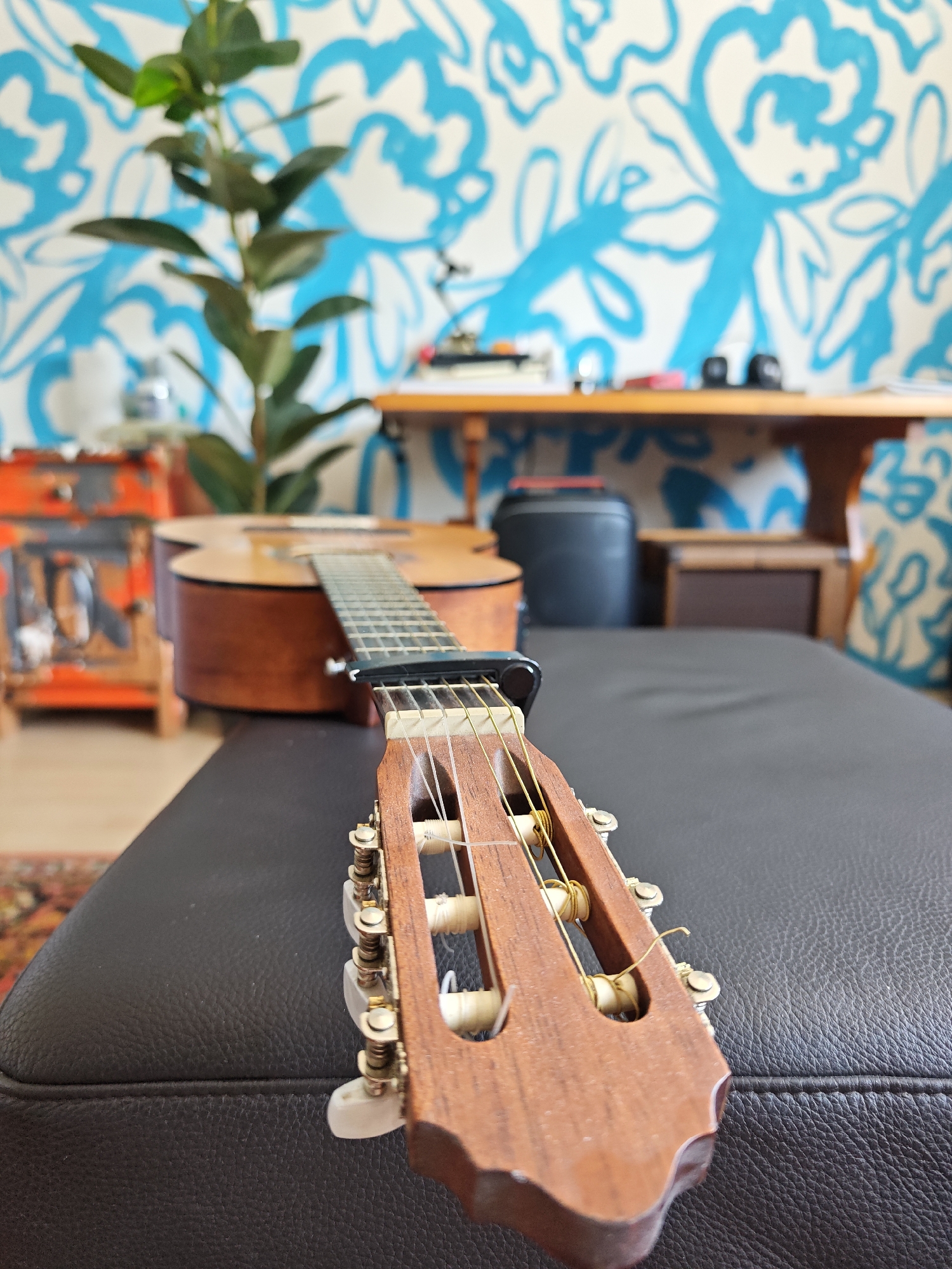 A close-up, low-angle shot focuses on the headstock and neck of an acoustic guitar, which rests on a black leather surface. The guitar's wooden headstock, tuning pegs, and strings are clearly visible, with a capo clamped onto the neck. In the blurred background, a large plant stands near a wooden table against a wall adorned with a vibrant blue and white floral wallpaper. The scene appears to be indoors, possibly in a living room or studio setting within Leopoldshöhe, Germany.