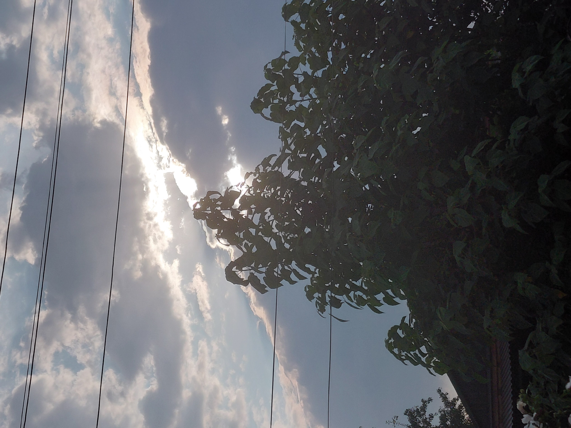 The image shows a cloudy sky with the sun partially obscured by clouds. Three power lines run horizontally across the frame. In the foreground, a dense tree with dark green leaves fills the lower portion of the image. A dark-colored roof of a building is visible beneath the tree. The scene appears to be outdoors, likely in a residential area given the presence of the roof and power lines. The time of day seems to be late afternoon or early evening due to the lighting conditions. The location is identified as Malgobek, Russia. There are no people or animals visible in the image, and no specific actions or interactions are depicted.