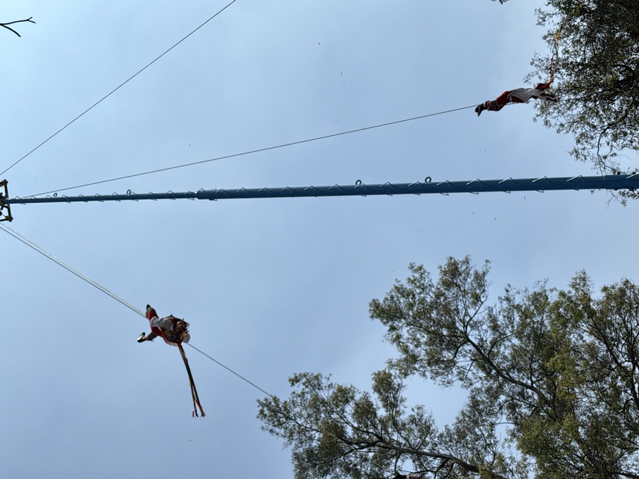The image displays a public performance of the Danza de los Voladores de Papantla in Mexico City, Mexico, a ritual often conducted in locations such as Chapultepec Park or the Zócalo. Two individuals, referred to as voladores, are suspended upside down by ropes from a tall, blue metal mast. Each performer is attached by an ankle to a rope originating from a rotating platform at the mast's apex, indicating a controlled descent. Both voladores wear traditional costumes, primarily red and white, with long, multi-colored ribbons trailing from their feet. The volador on the left is positioned higher and farther from the central mast than the one on the right, which is lower and closer. The background consists of a clear, light blue sky, with the green foliage of trees visible in the lower foreground and midground. Small, scattered dark flecks, consistent with debris or confetti, are visible in the sky.
