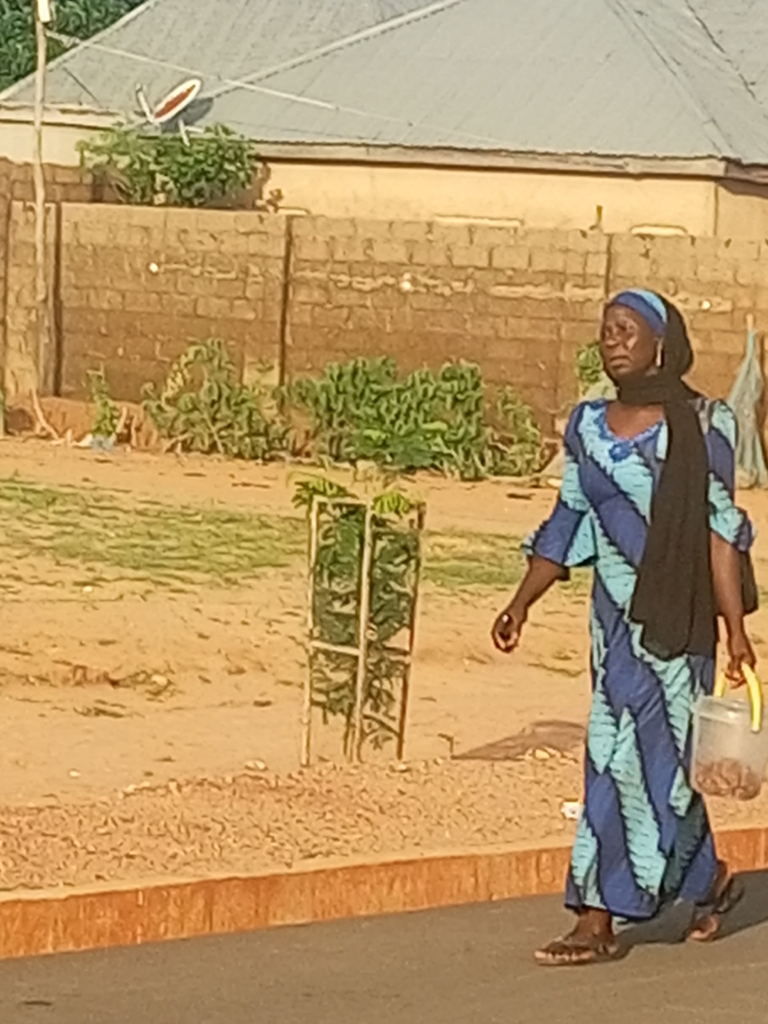 In an outdoor, dusty urban setting, a Black woman wearing a blue and teal patterned dress and a black headscarf walks across a paved surface. She carries a clear plastic bucket with a yellow handle filled with food items in her right hand. The woman is wearing dark sandals and has a dark complexion. In the background, a brick building with a metal roof is visible, along with a satellite dish. There are also patches of dry grass and greenery. The image is taken from a low angle, with the woman walking from right to left.